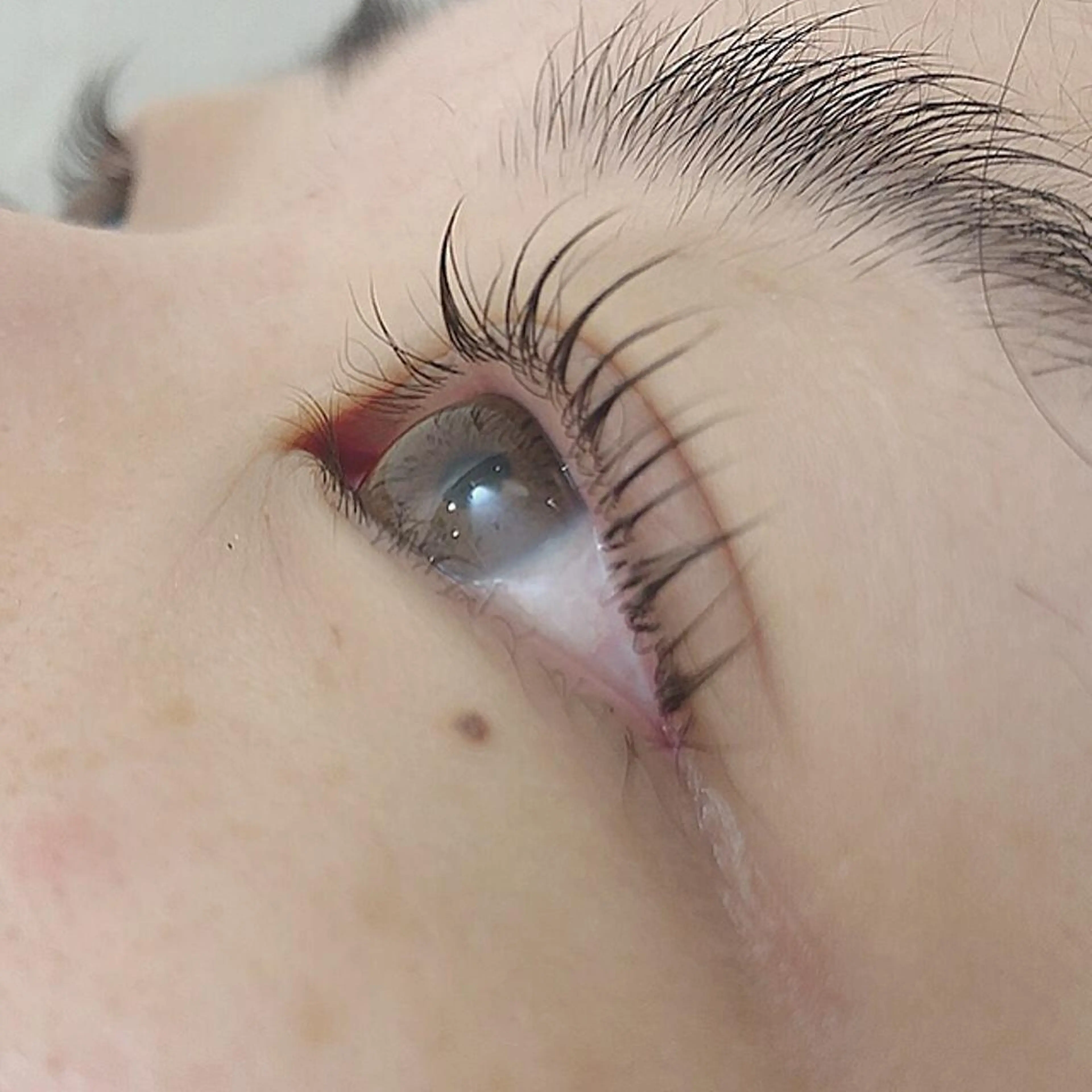 ãããšã¯ã»ããã ããã atelier Charmemuæå±ã»ððâã¢ã€ãªã¹ã sanaeã®ãããšã¯ã»ããããã¶ã€ã³