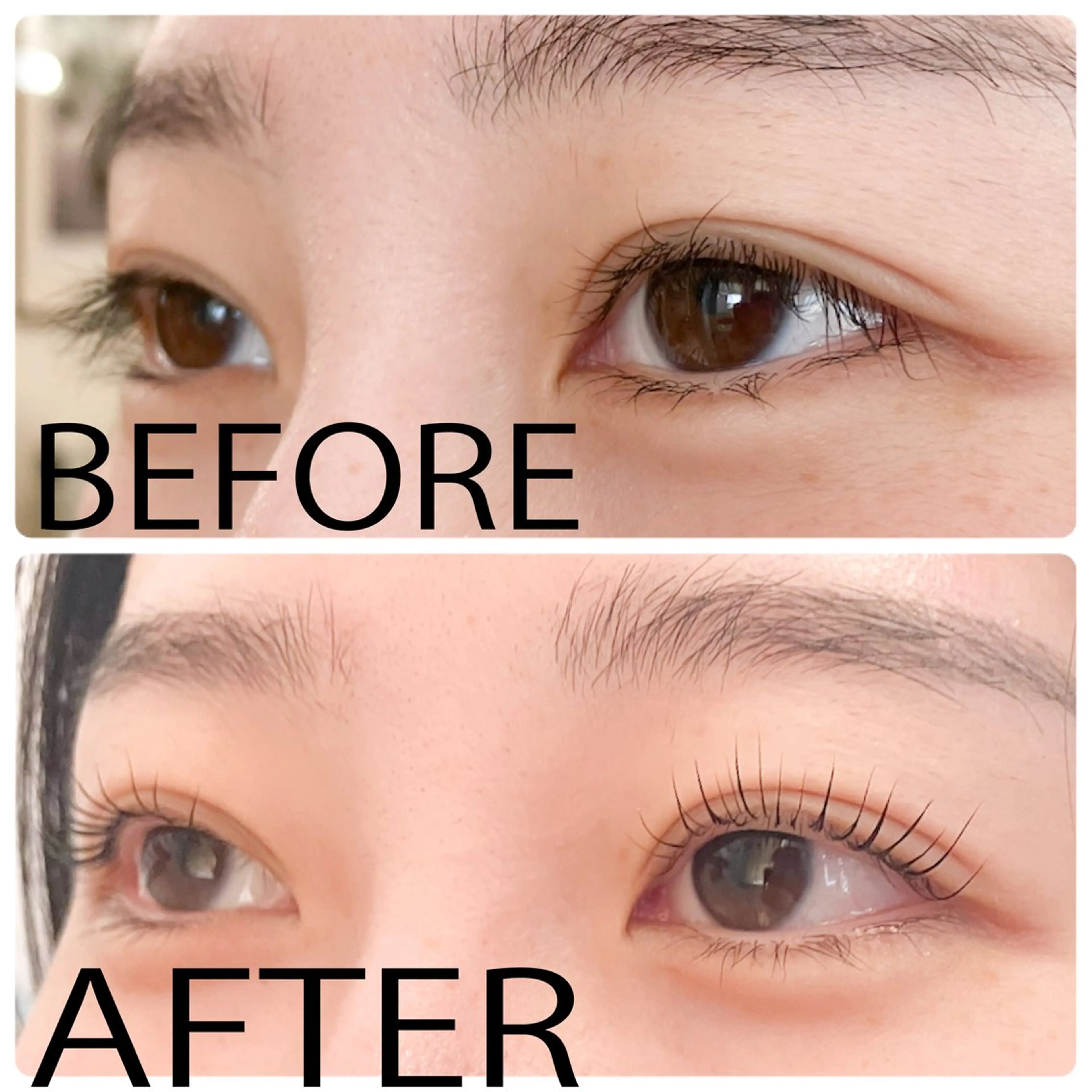 🌷新規限定🌷まつげパーマ🌷美容液コーティング付きの写真