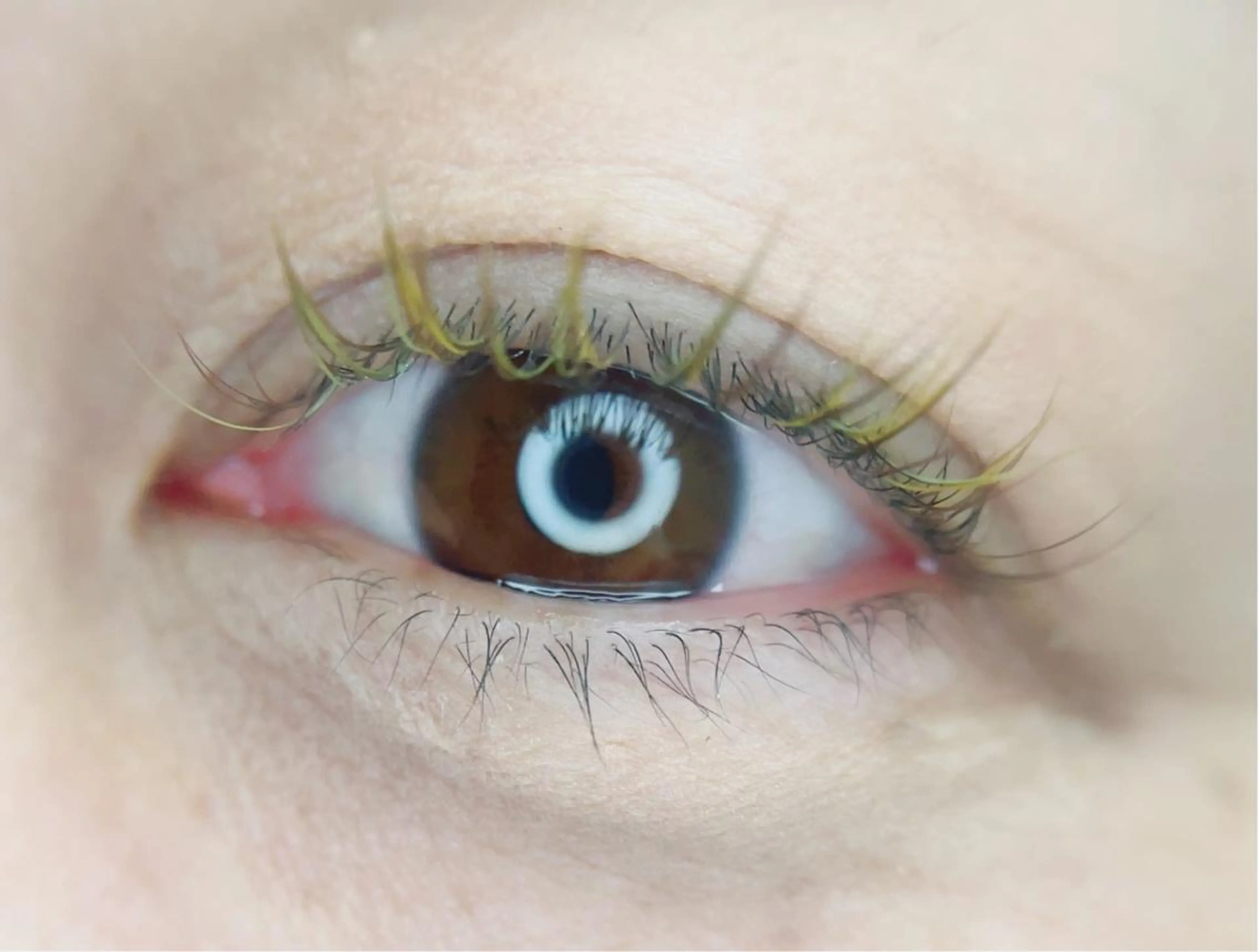 マツエク・マツパ カラーマツエク irie hair &　eyelash所属・irie(ｱｲﾘｰ) hair&eyeのマツエク・マツパデザイン