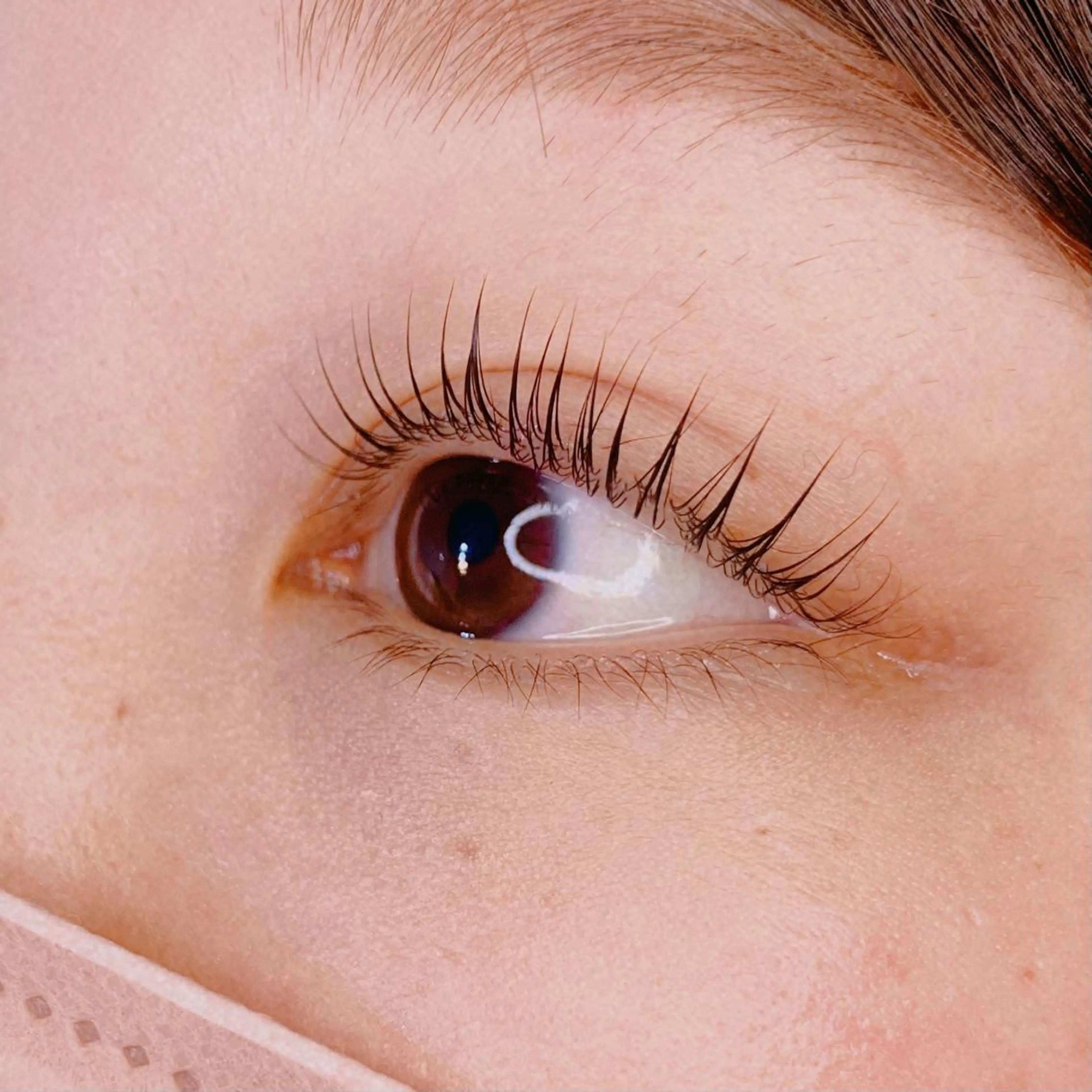 マツエク・マツパ パリジェンヌラッシュリフト Celeste Venus所属・🧸Celeste Venusのマツエク・マツパデザイン