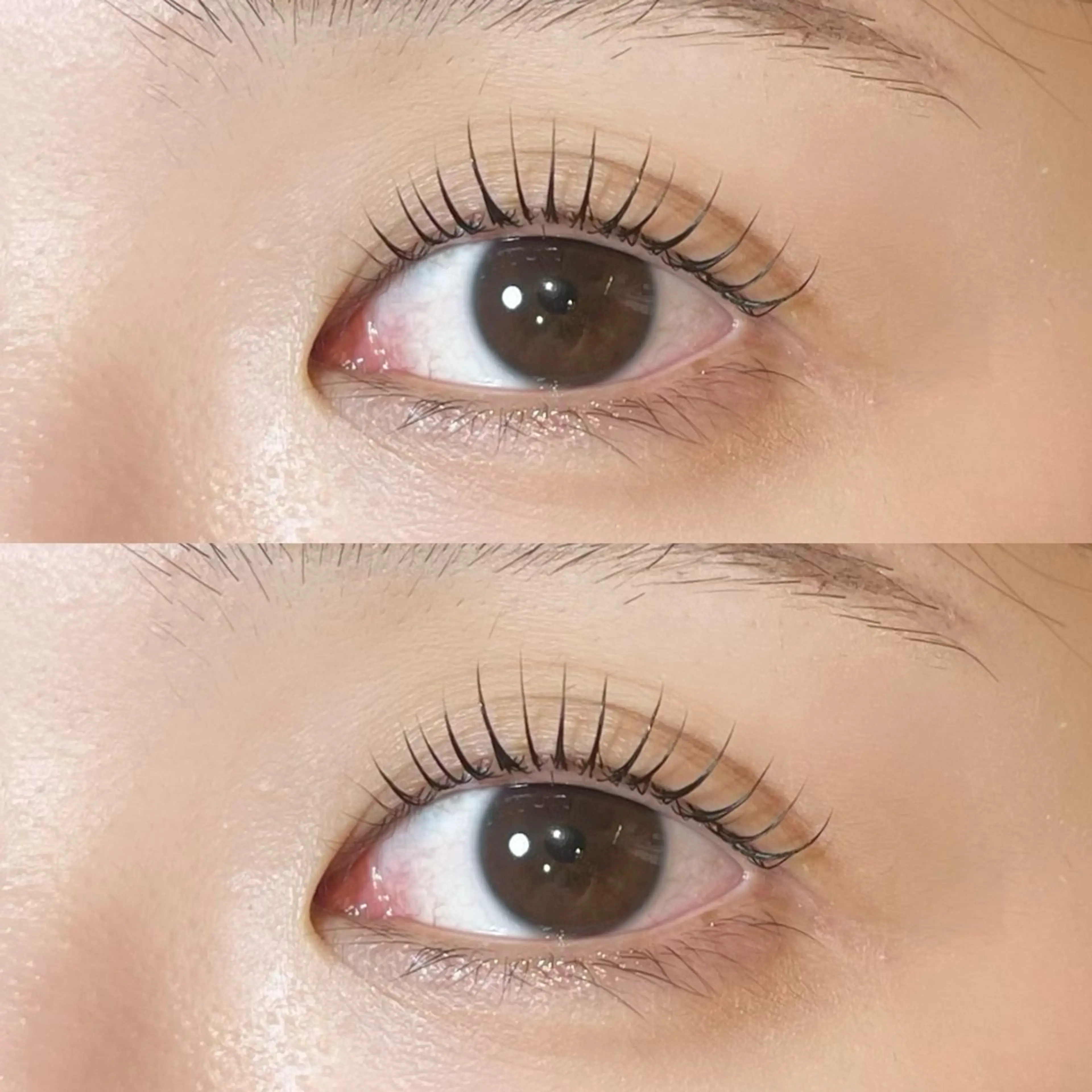 マツエク・マツパ 𝒆𝒊𝒈𝒉𝒕 杏花のマツエク・マツパデザイン