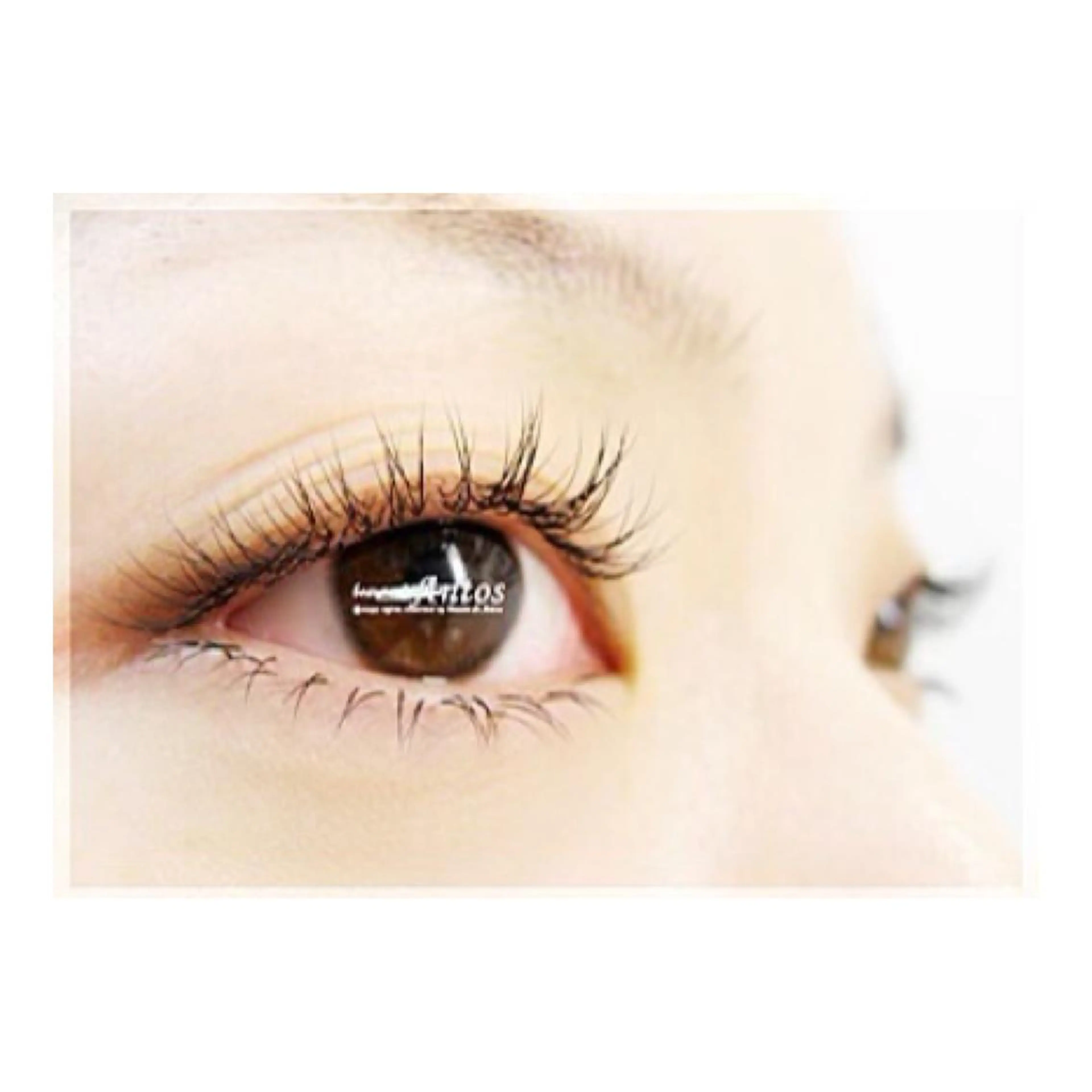 マツエク・マツパ ミンク セーブル まつげ&眉の専門店 アントススタッフの眉毛・アイブロウイメージ