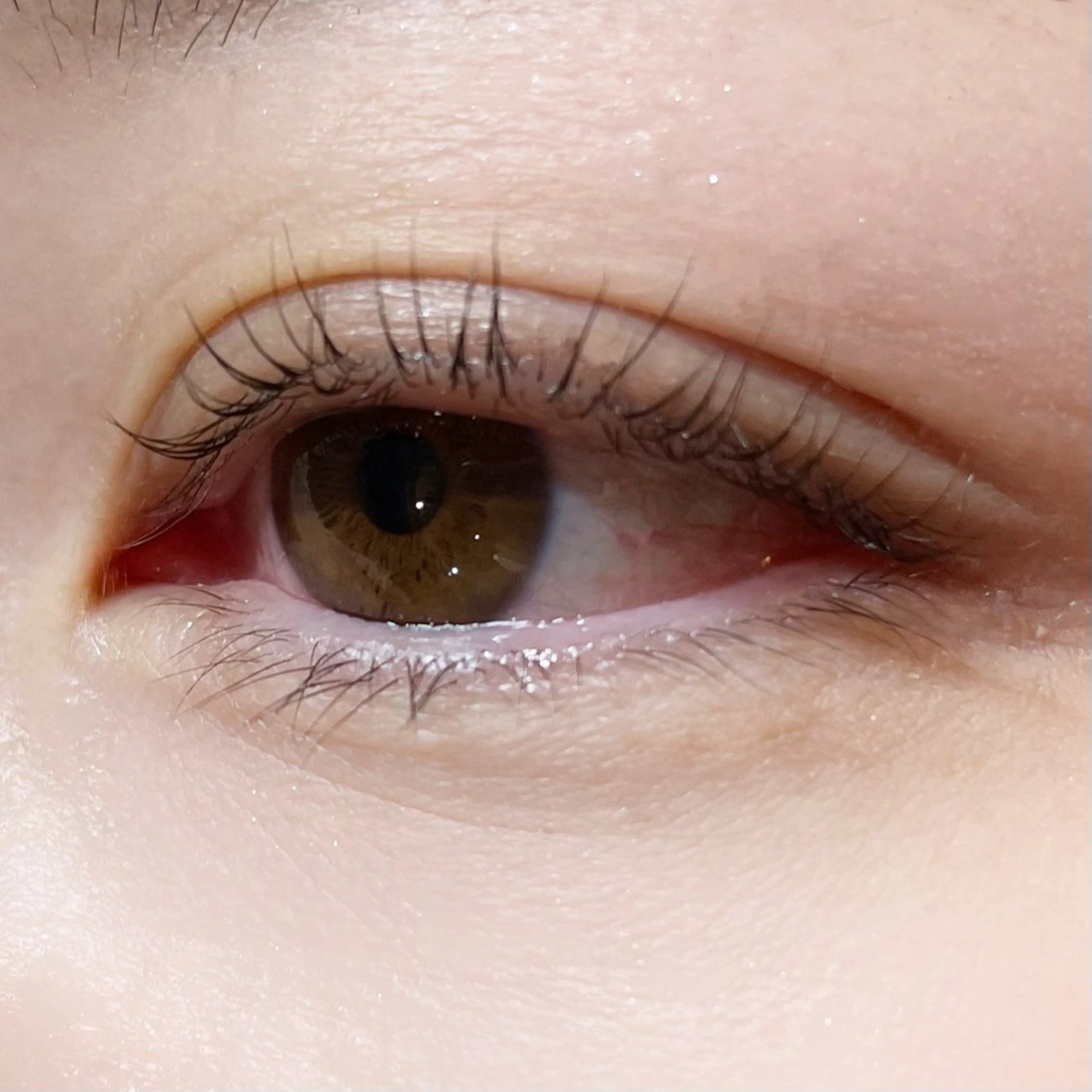 マツエク・マツパ マツパ 櫻井 怜華のマツエク・マツパデザイン