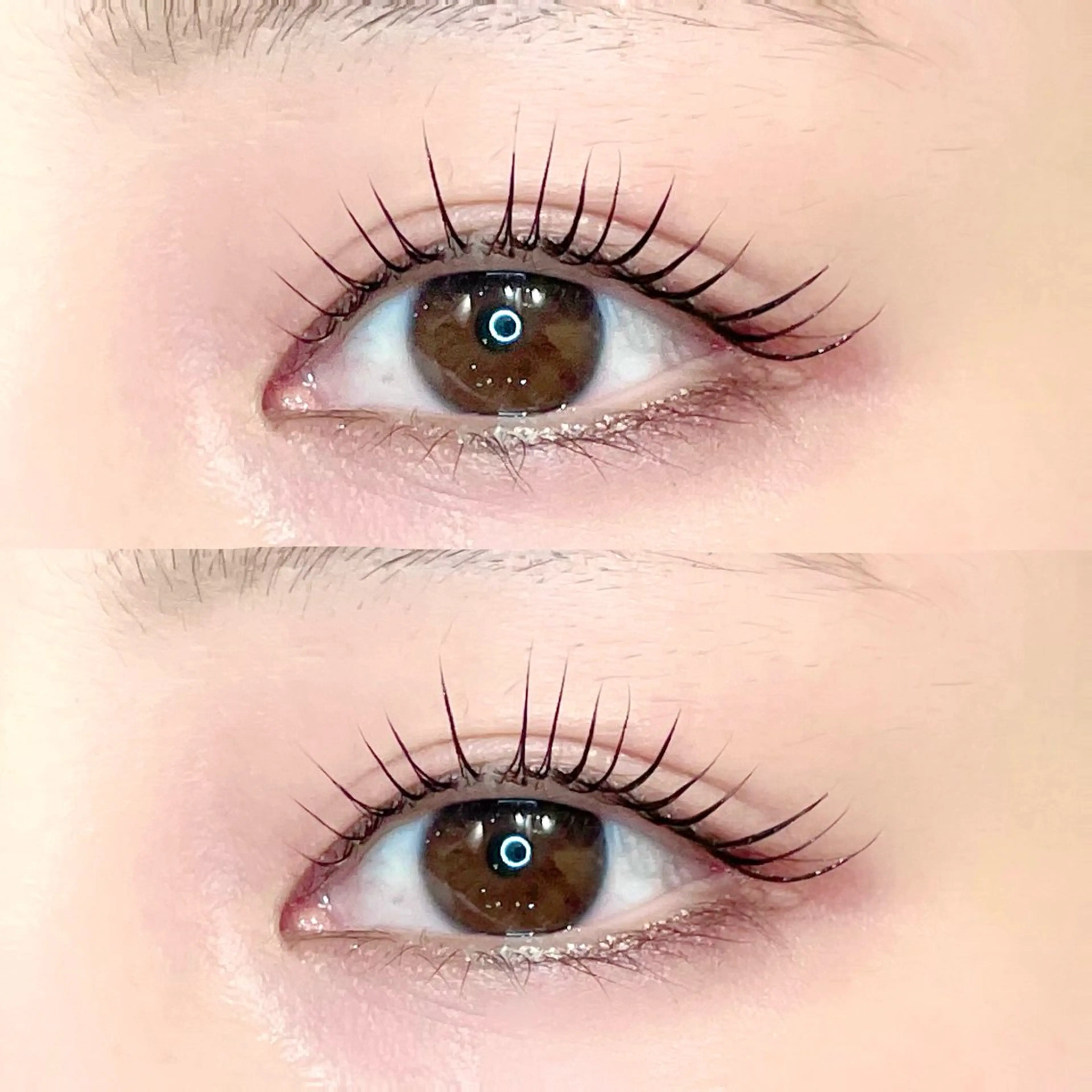 《ミニモ限定🎀》パリジェンヌラッシュorラッシュリフト【コーティング付き】《 2回目以降の方 》割引あり◎の写真