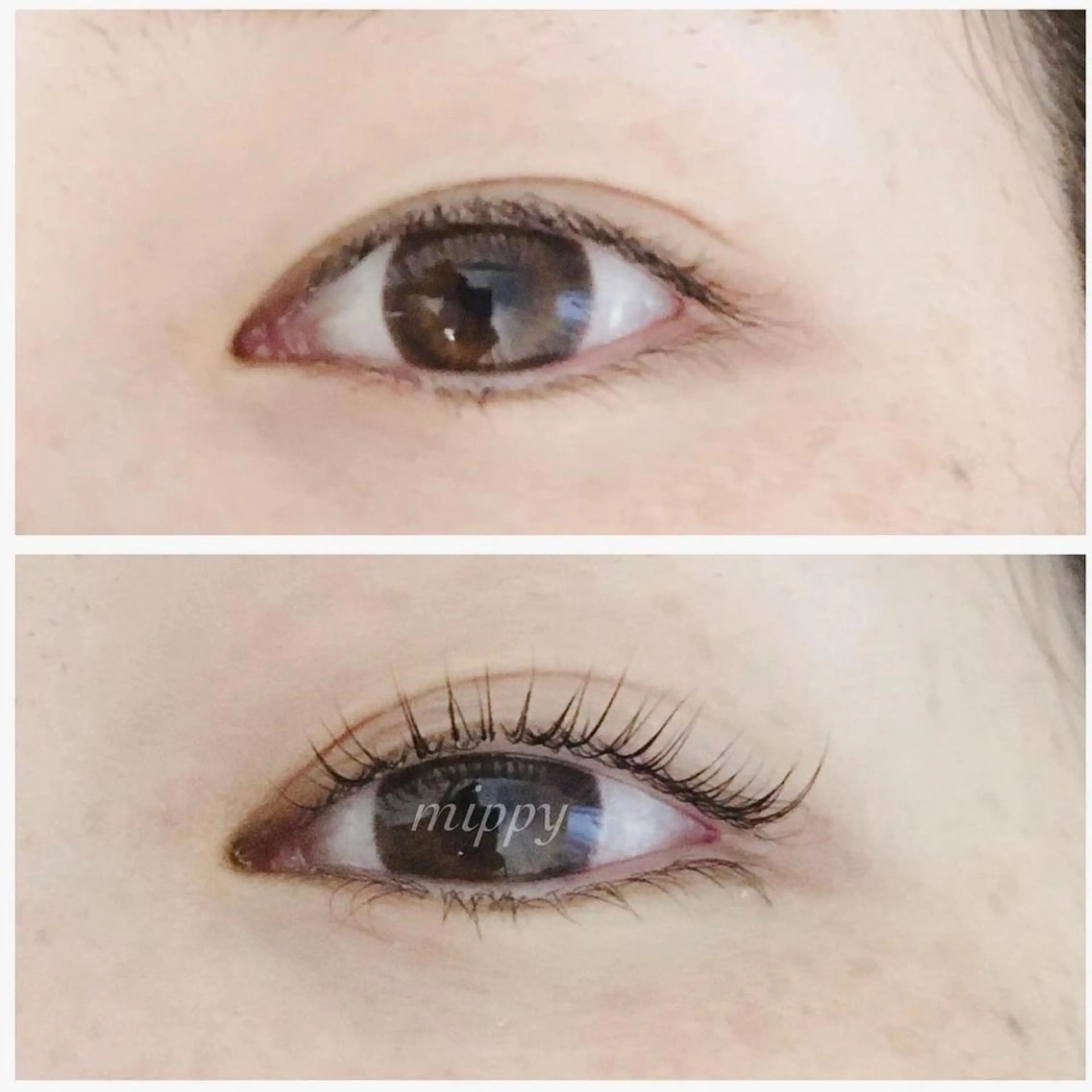 マツエク・マツパ ｍｉｐｐｙ 🪽のマツエク・マツパデザイン