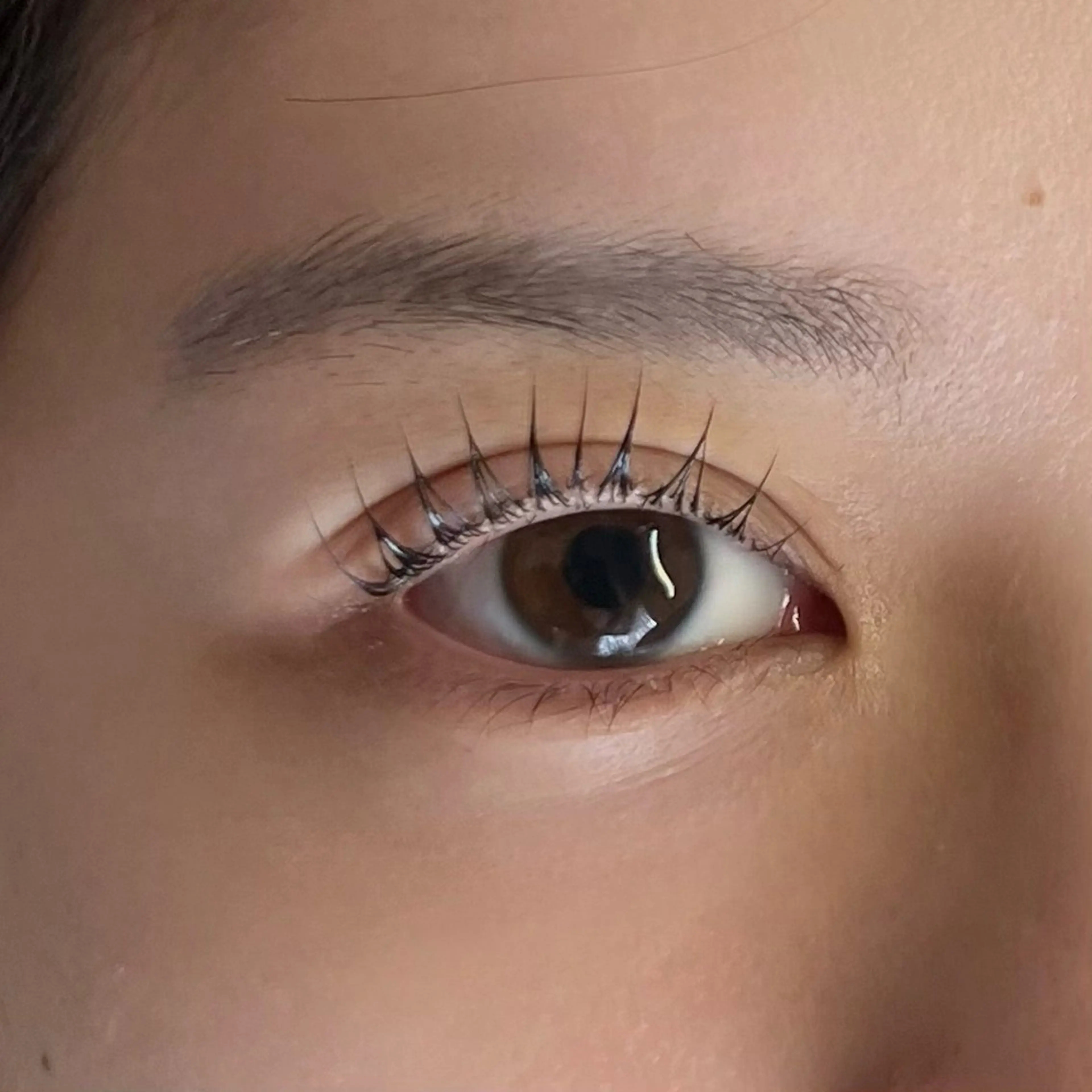 上まつげパーマ〈アイシャンプー＋トリートメント付〉の写真