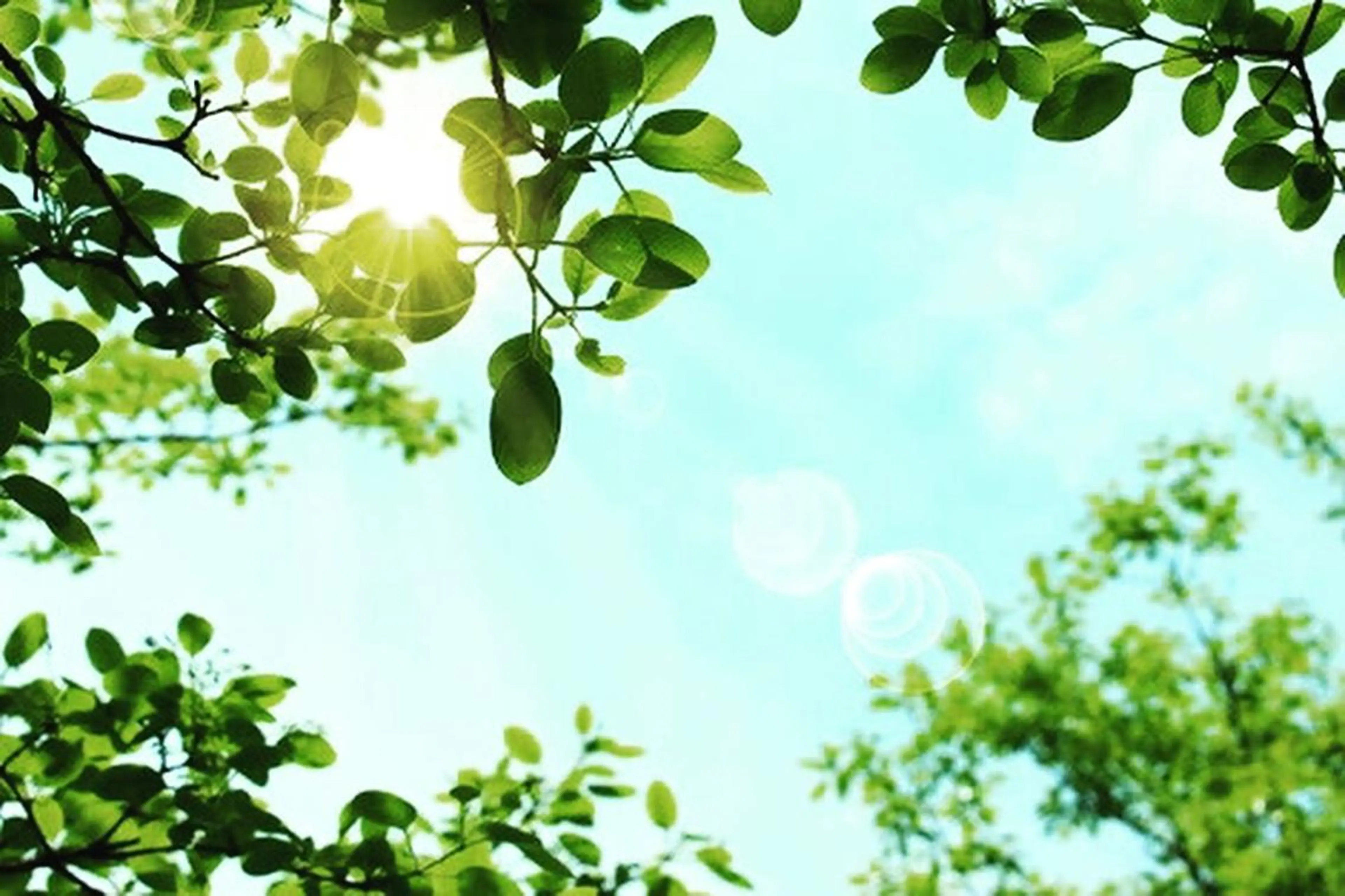 メナードフェイシャルサロン セレブリーナ本店所属・金澤 ゆう子のエステ・リラクイメージ