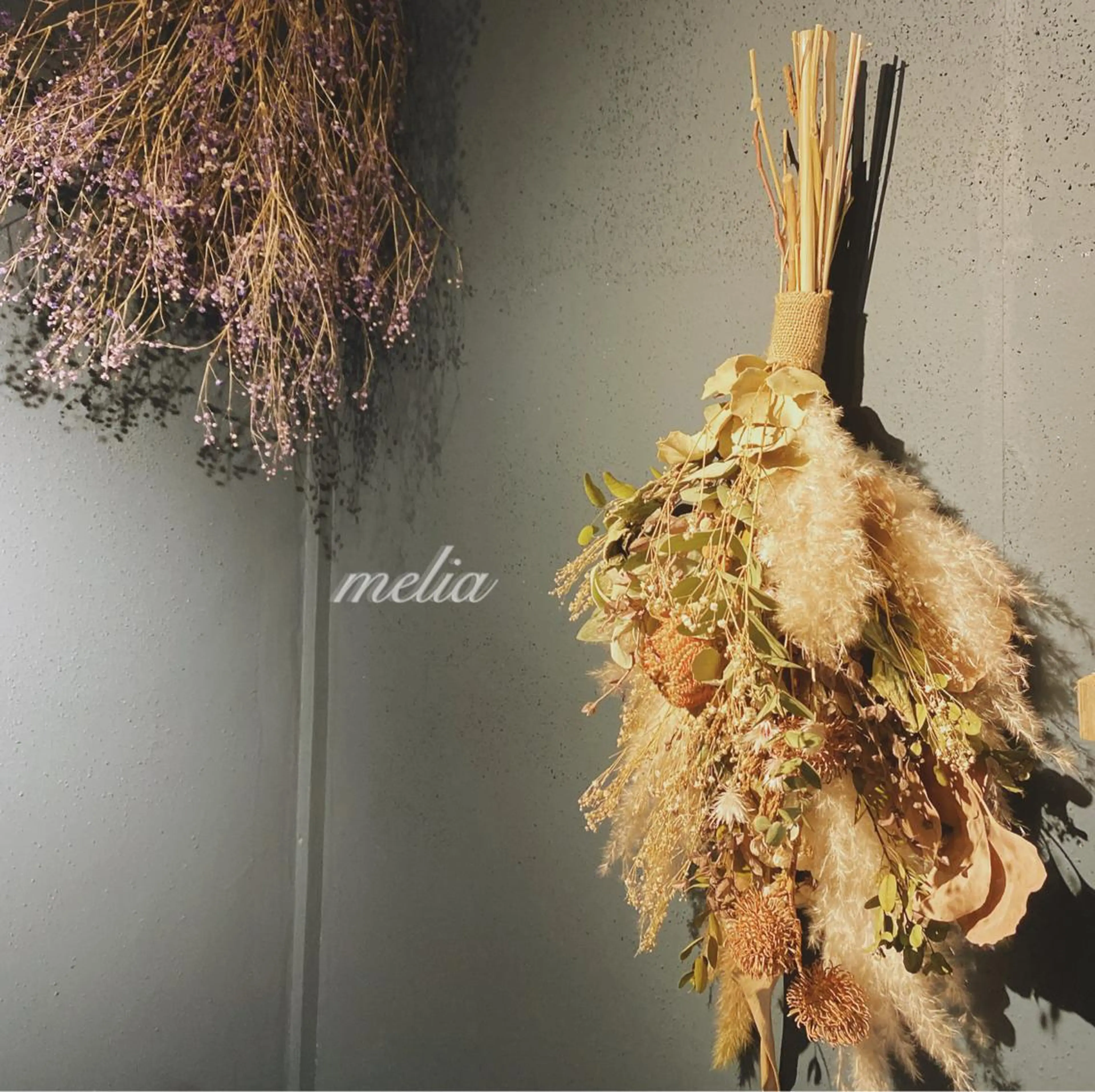 アイブロウ melia メリアのその他イメージ