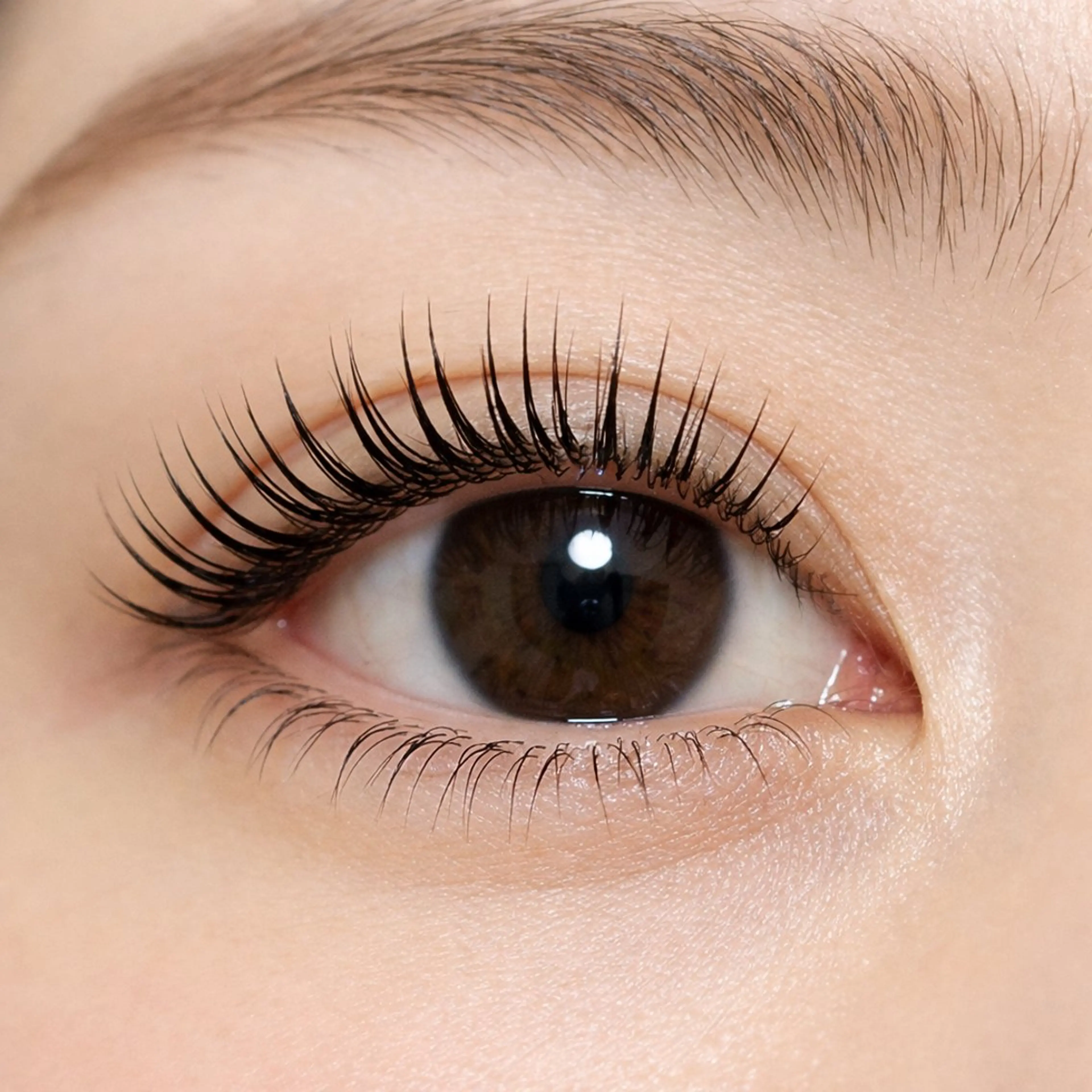 マツエク・マツパ マツパ PROGRESS 龍ヶ崎 小泉🦋のマツエク・マツパデザイン