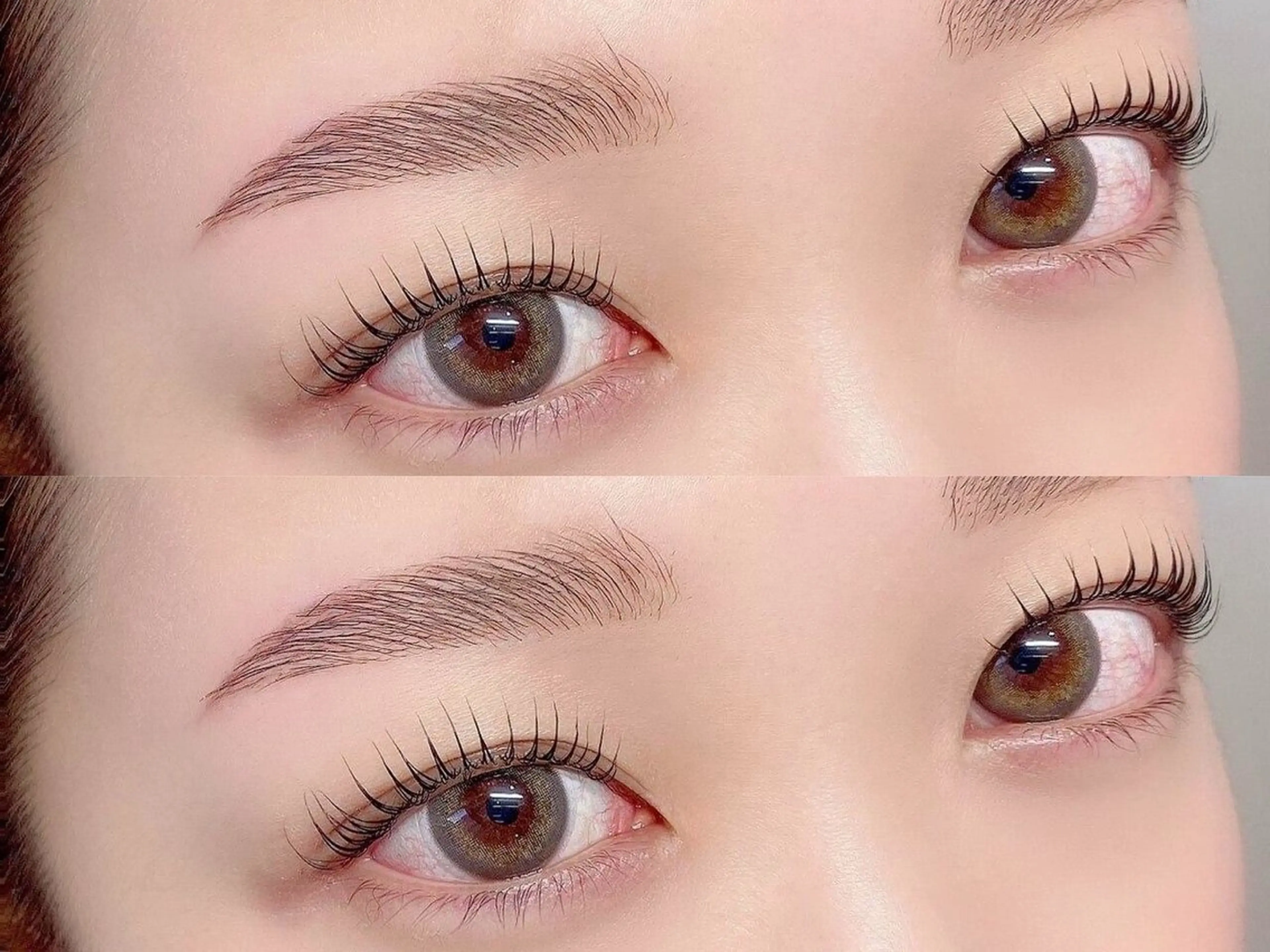 《まつげパーマorパリジェンヌ➕眉毛wax💛》の写真