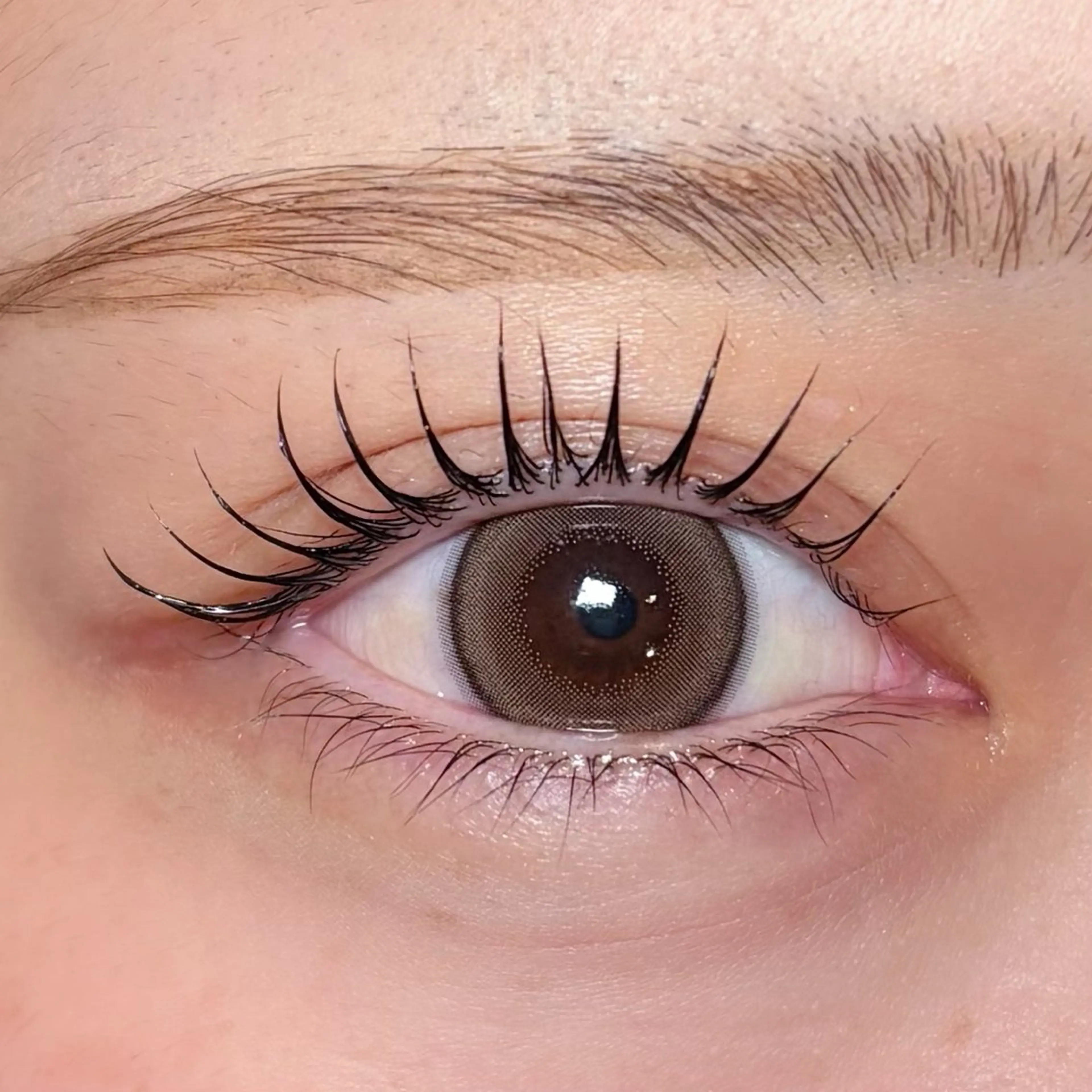 マツエク・マツパ マツエク アイサロン Seek 北梅田店のマツエク・マツパデザイン