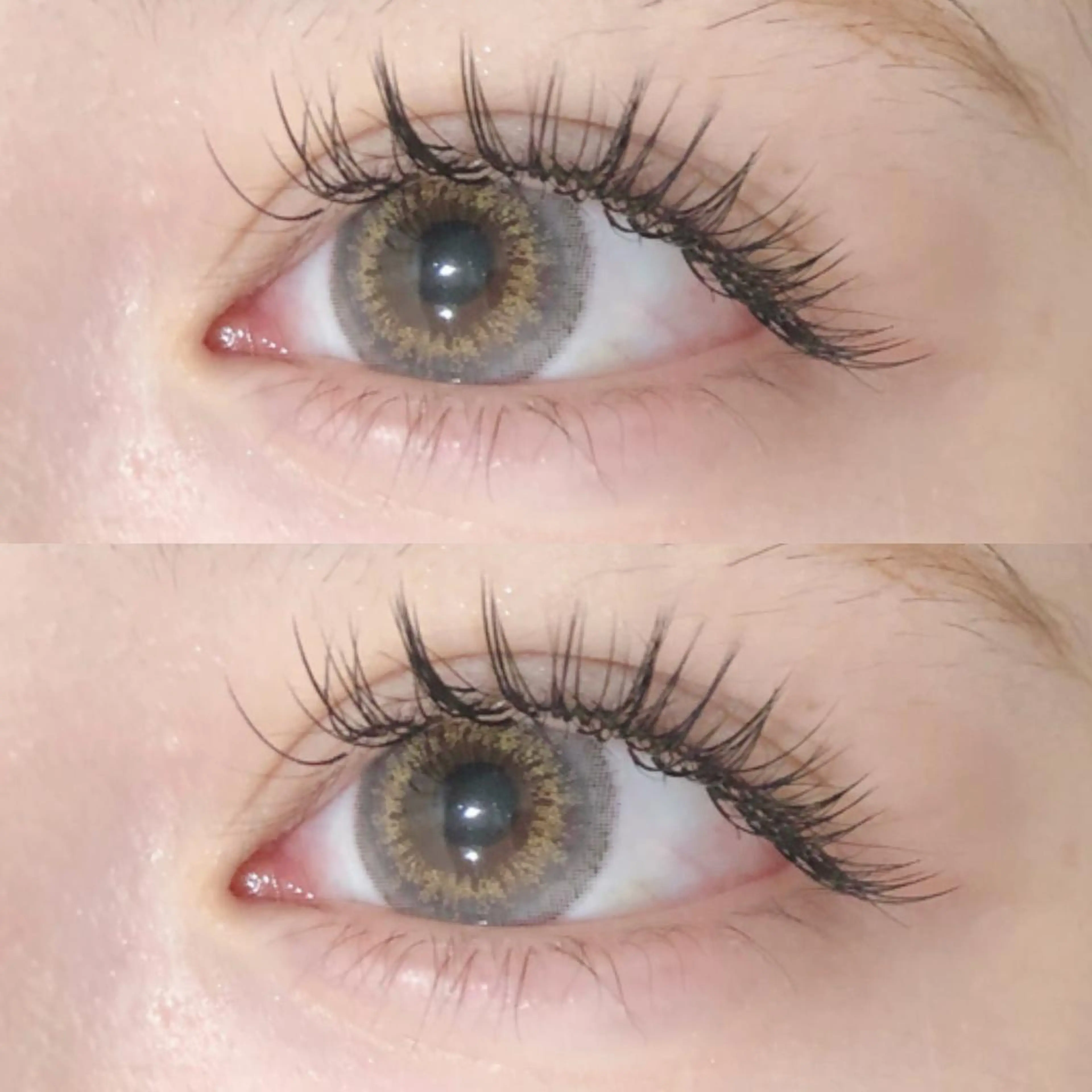 マツエク・マツパ フラットラッシュ マツエク GALN 🎀 yumi パリエクのマツエク・マツパデザイン