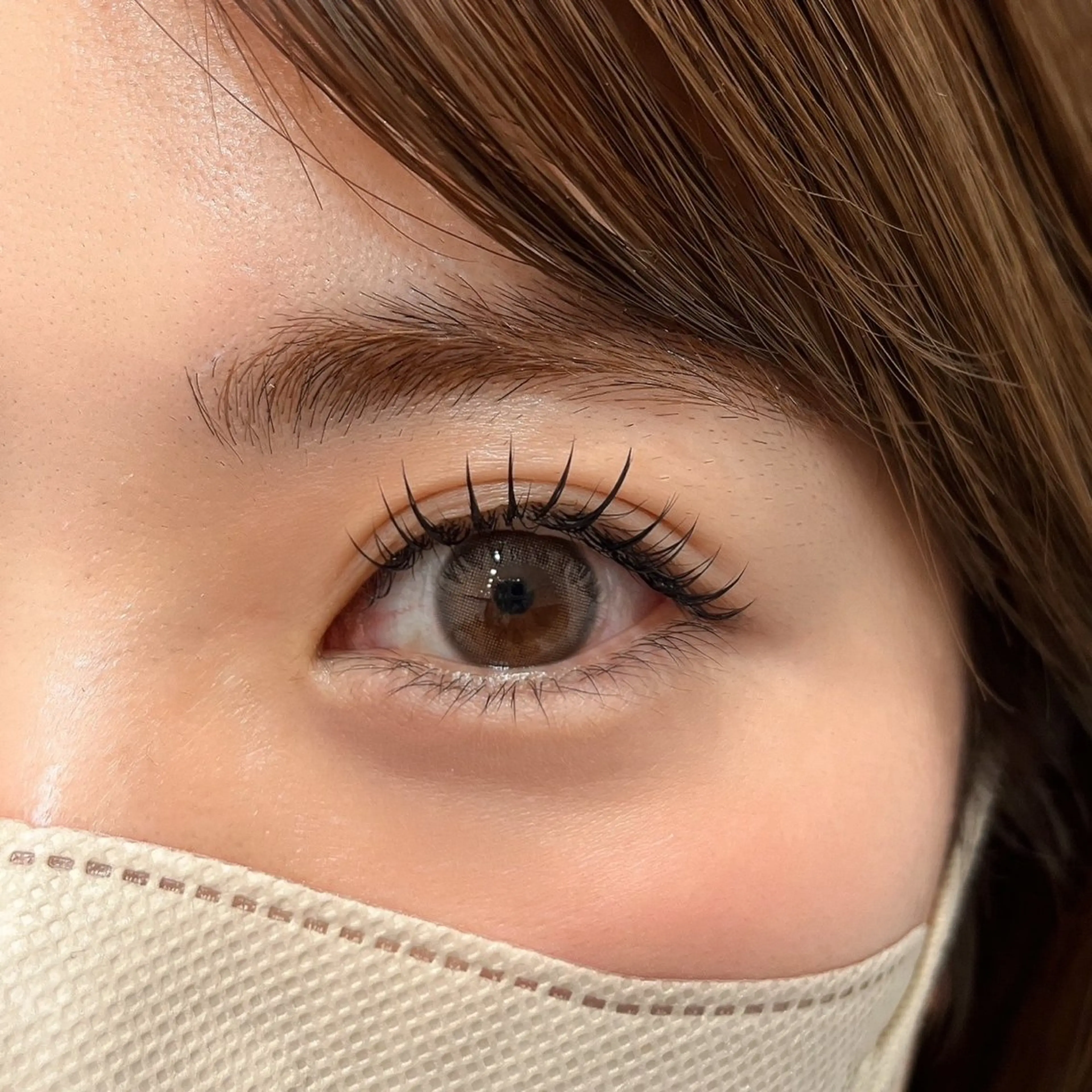 🩵まつ毛パーマ+韓国風束感コーティング付き🇰🇷🩵の写真