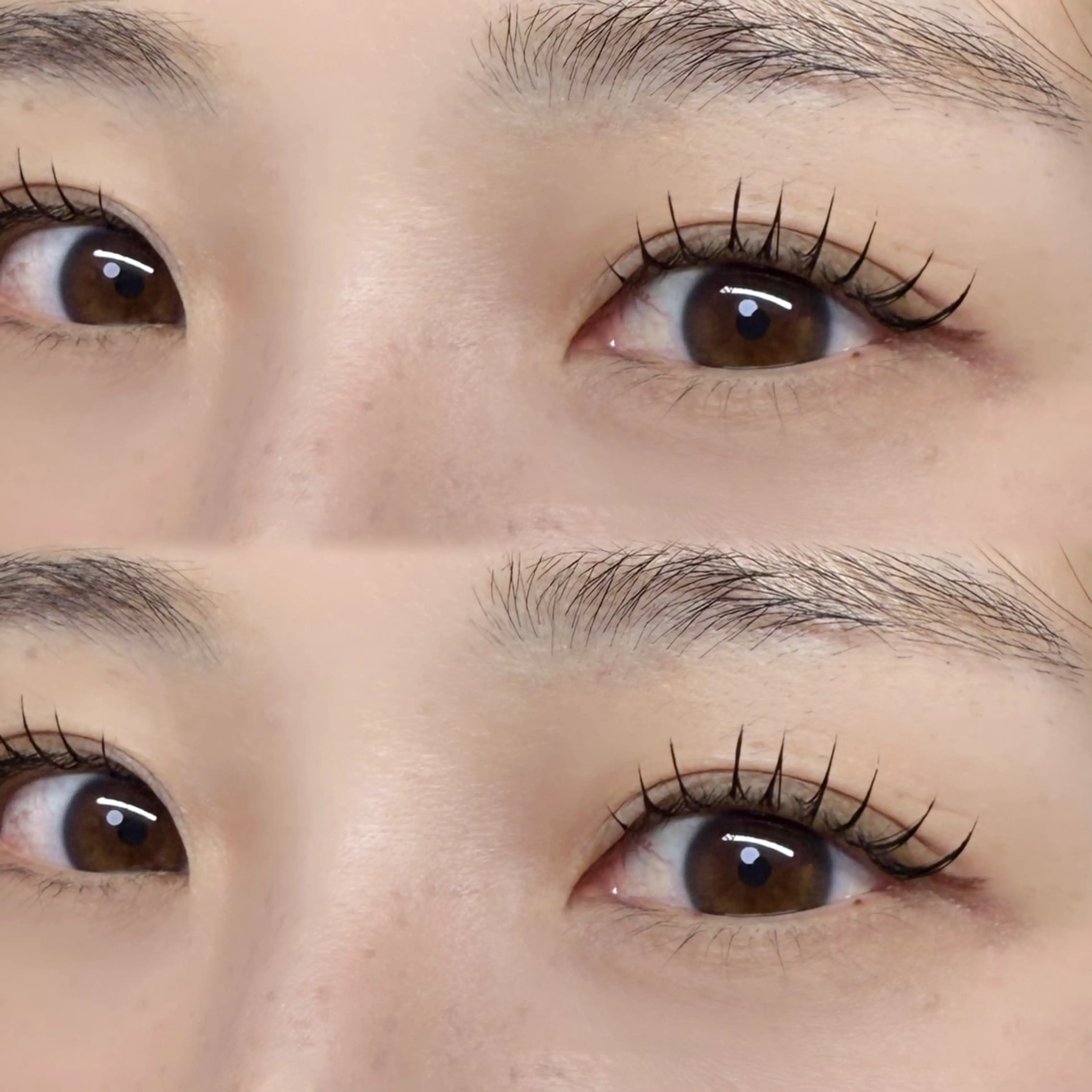 マツエク・マツパ フラットラッシュ stay for 中央通り店 aoのマツエク・マツパデザイン