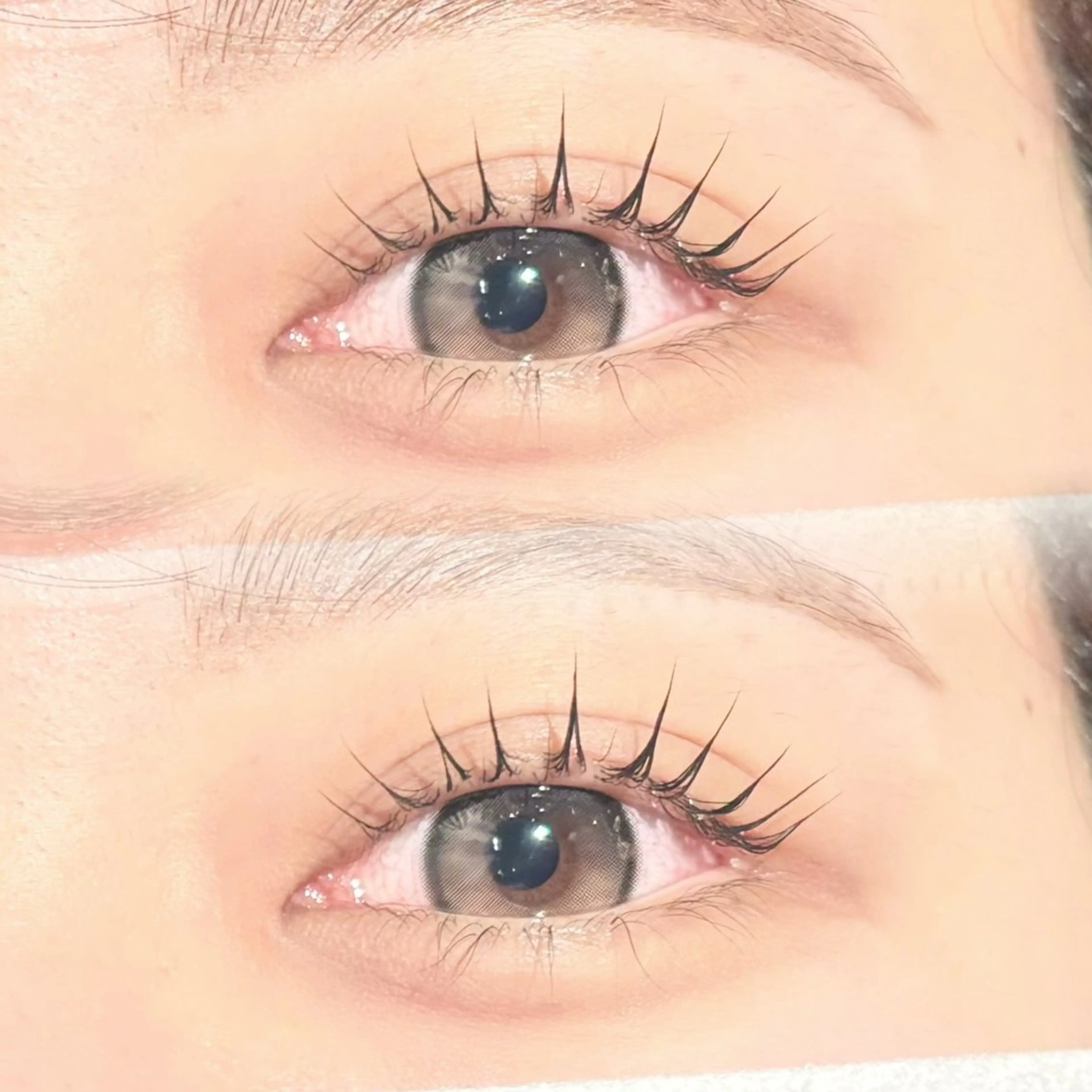 本日限定✨まつげパーマ🩰の写真