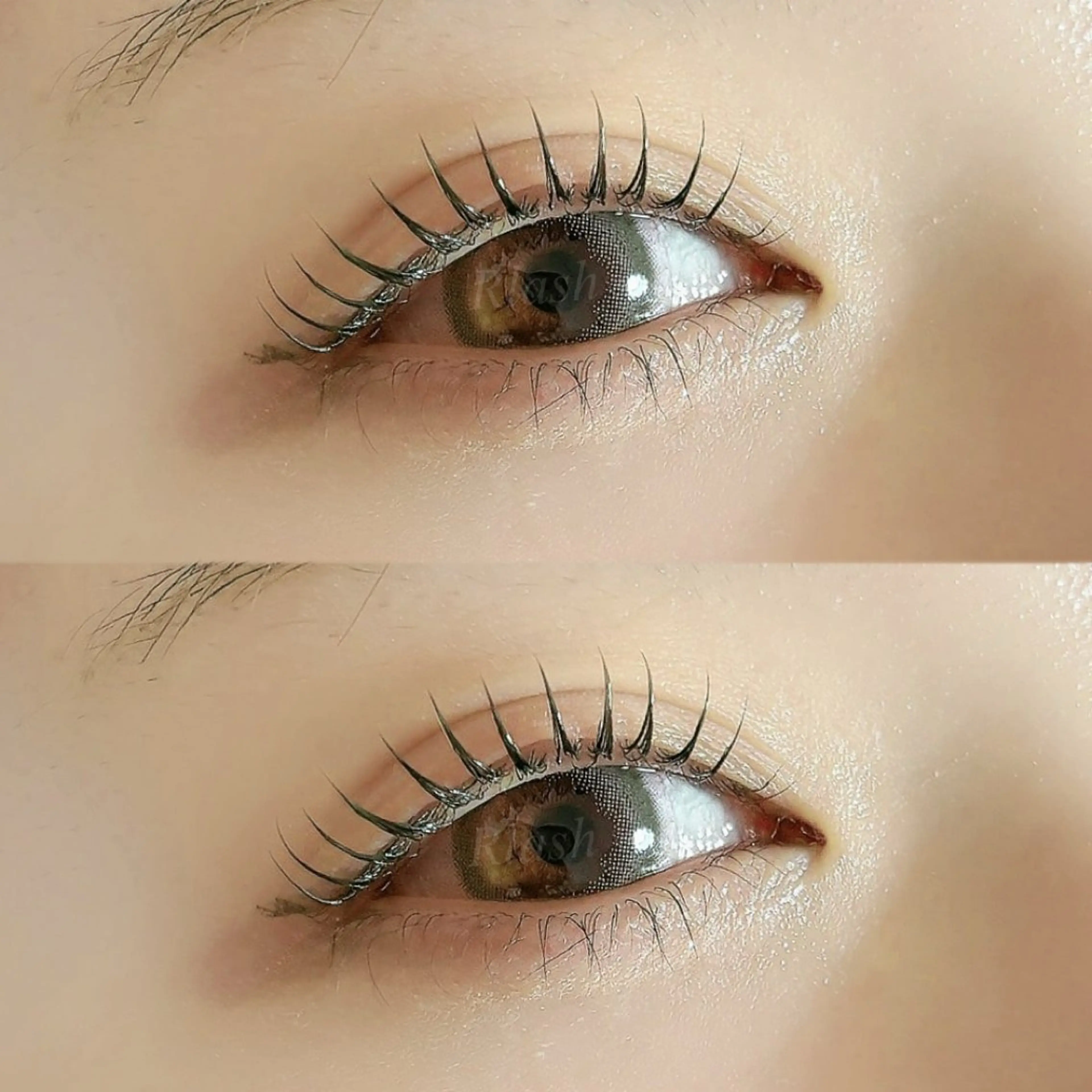 マツエク・マツパ RIFARE代々木 北井のマツエク・マツパデザイン