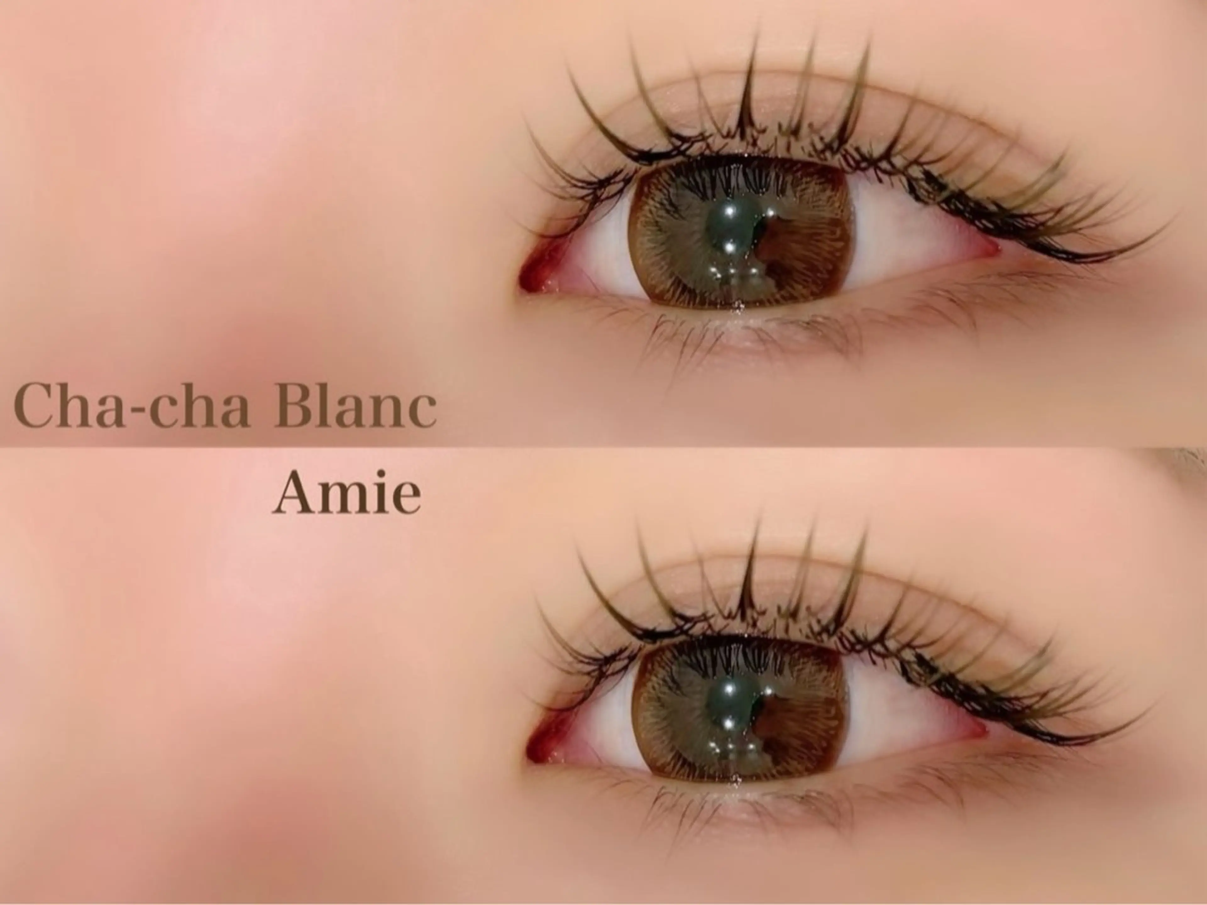 マツエク・マツパ マツエク chacha Bla ncAmie店　大井のマツエク・マツパデザイン