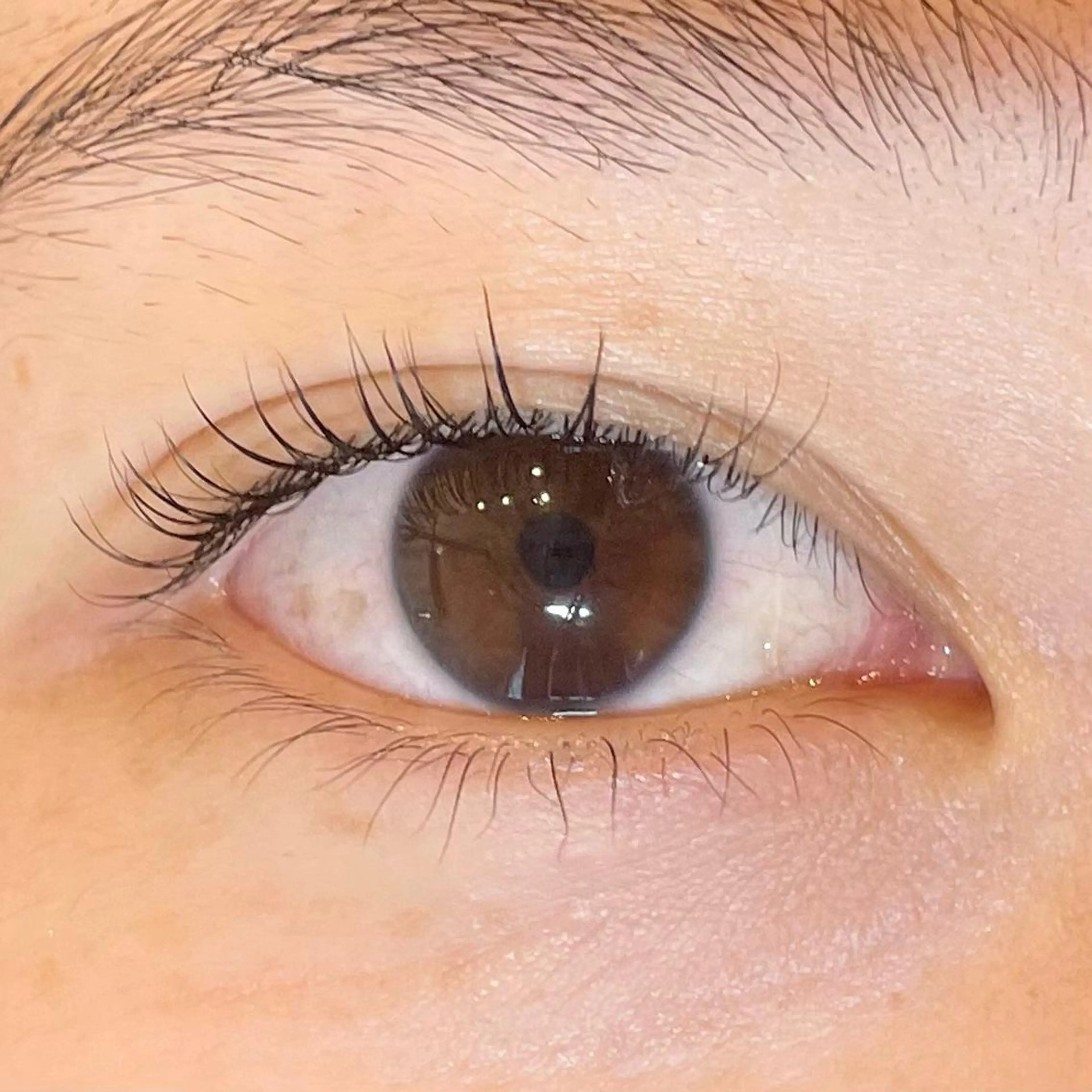 マツエク・マツパ まつげパーマ eyenico 梅田店のマツエク・マツパデザイン