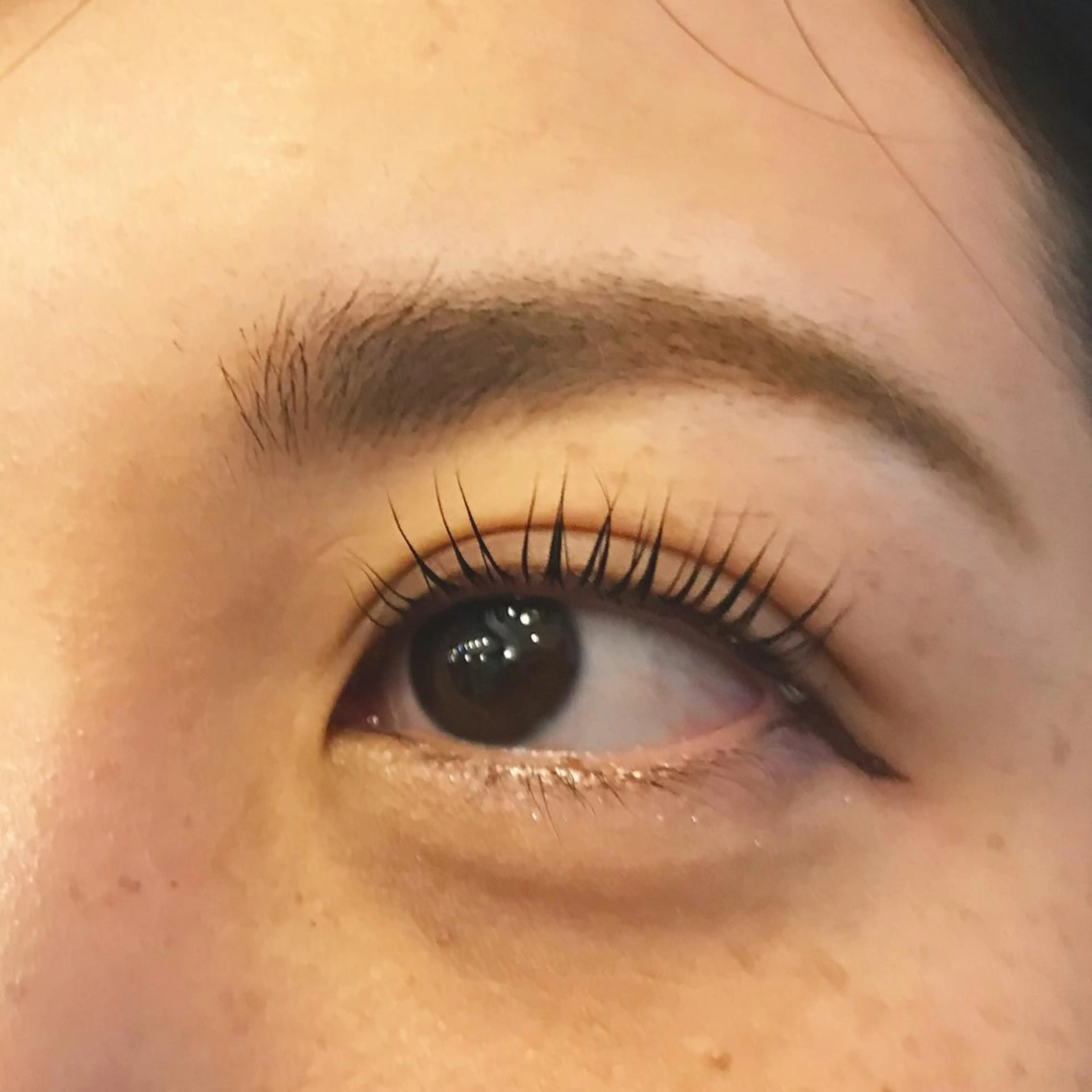 マツエク・マツパ パリジェンヌラッシュリフト マツパ ⭐️Eye＆Eyeblowsalon⭐️Dafne⭐️所属・Dafne SAIのマツエク・マツパデザイン