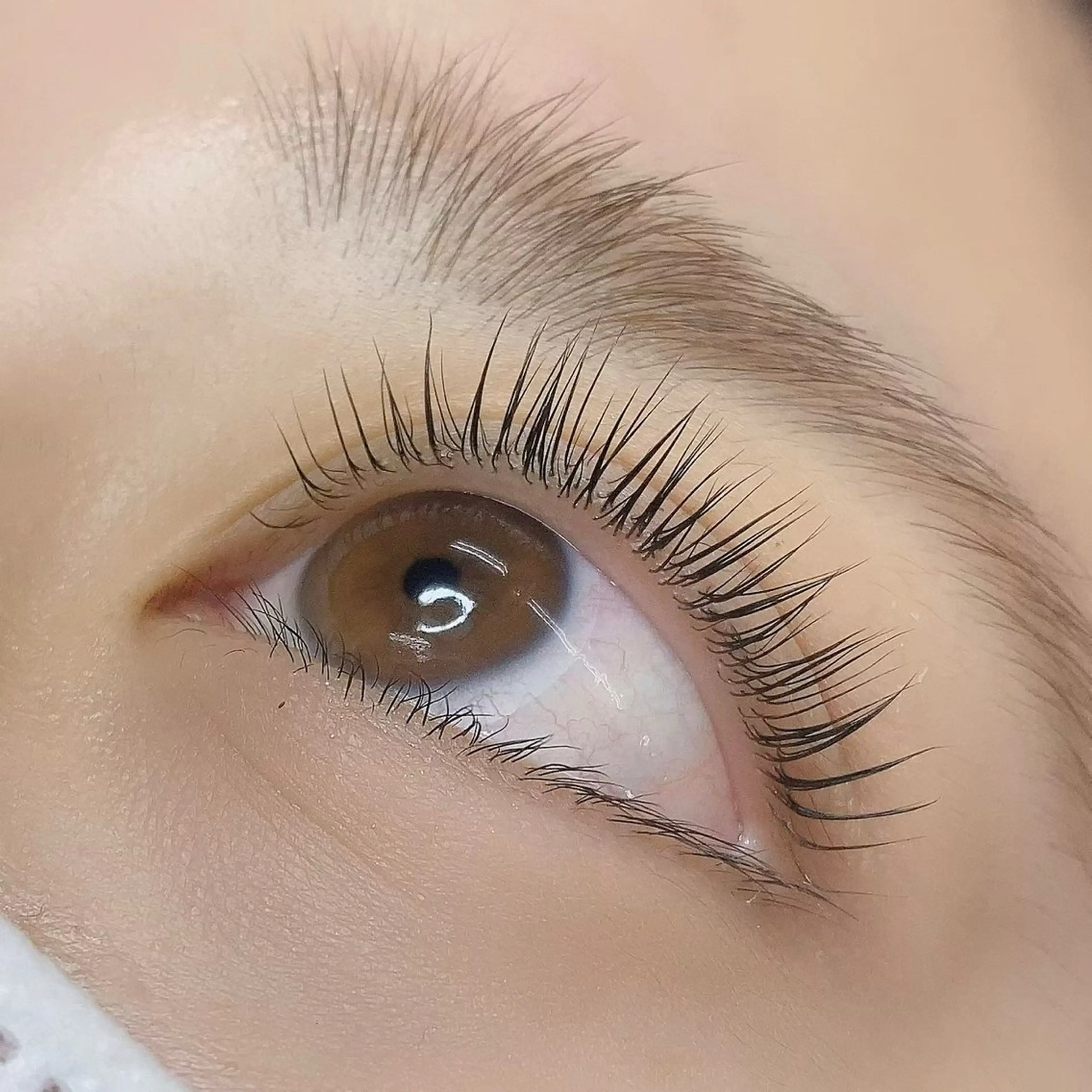 マツエク・マツパ LULU昭島所属・チヒロ Eyelistのマツエク・マツパデザイン