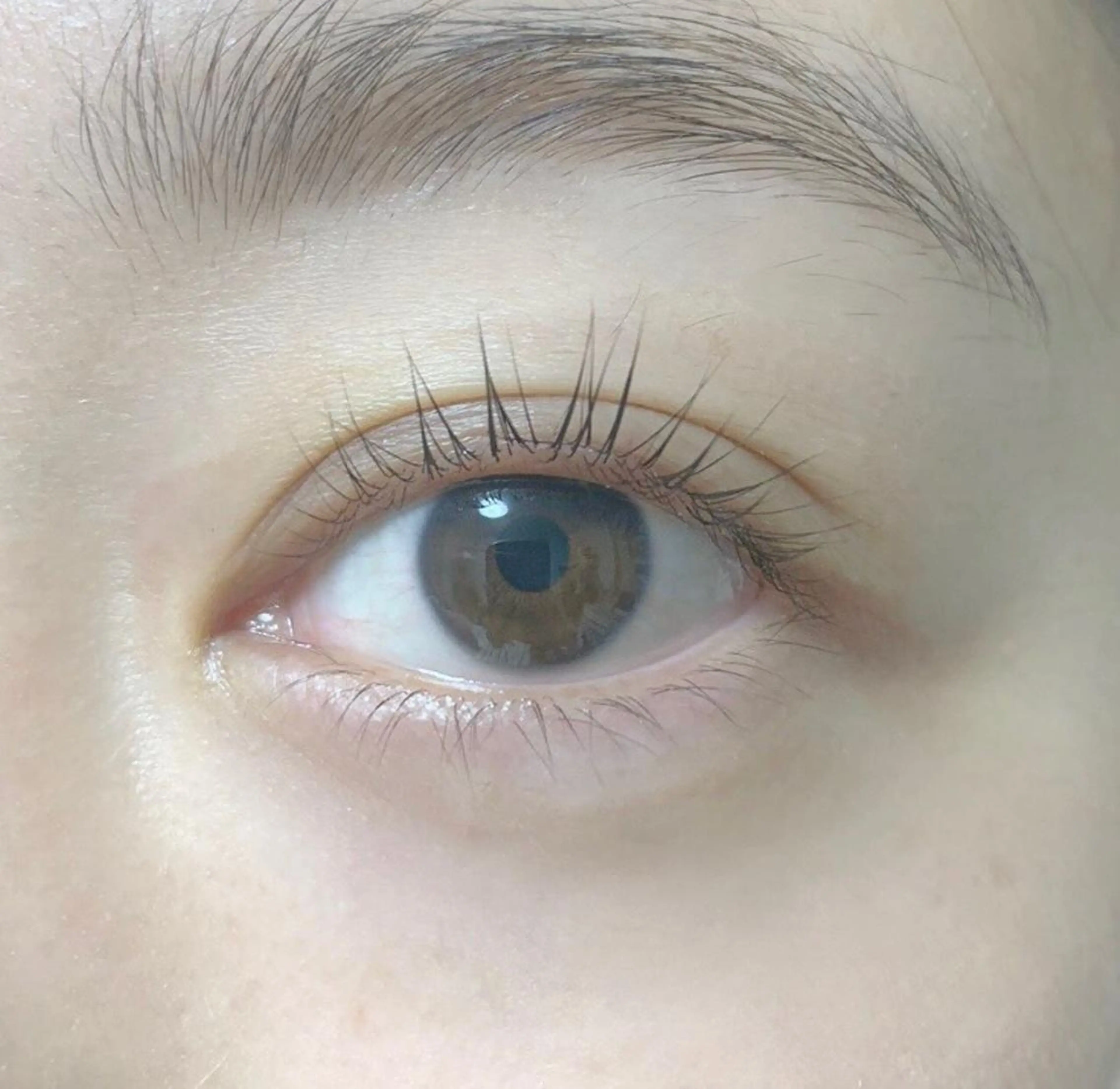 マツエク・マツパ パリジェンヌラッシュリフト paragraph ¶のネイルデザイン