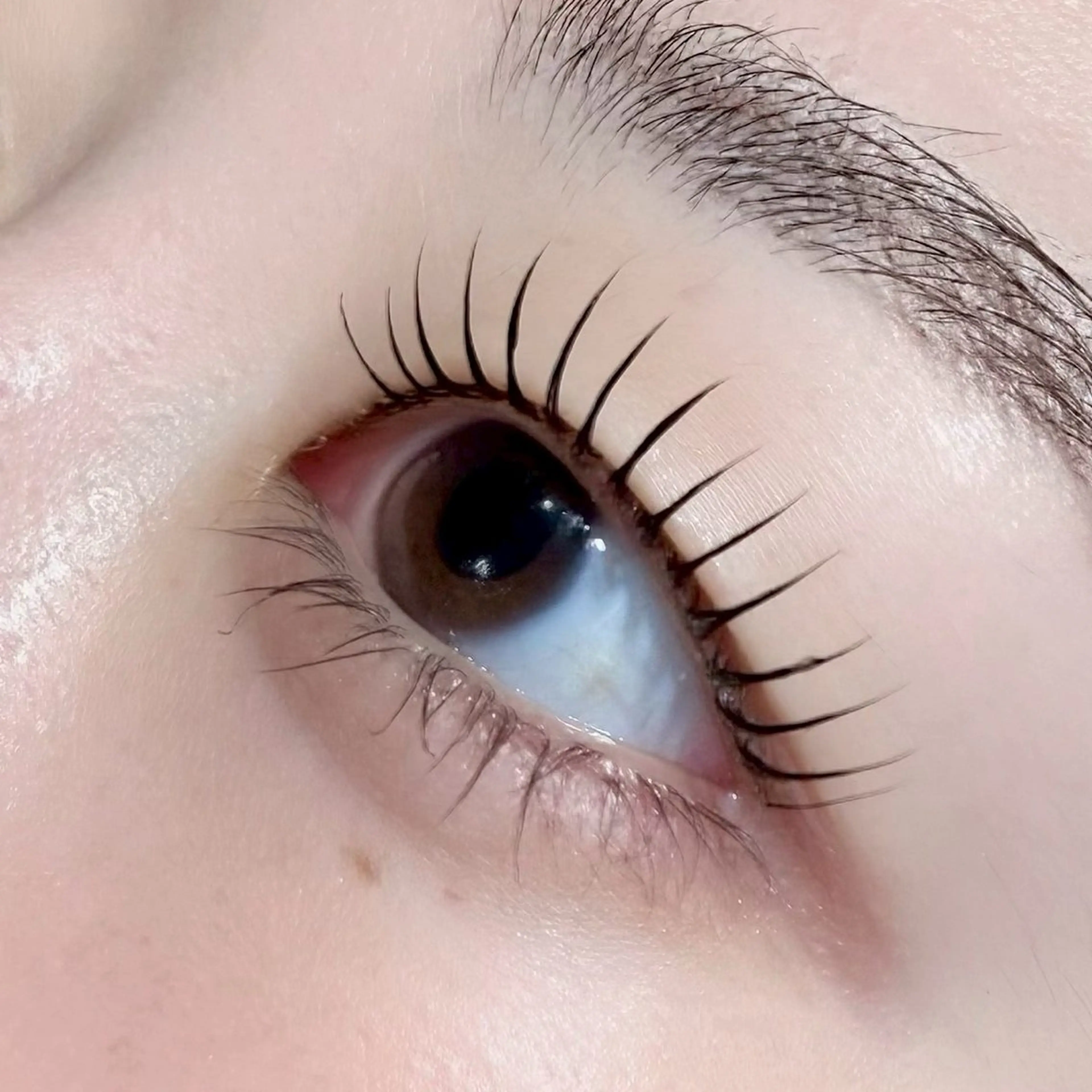 マツエク・マツパ LUNOA SORA🎀のマツエク・マツパデザイン