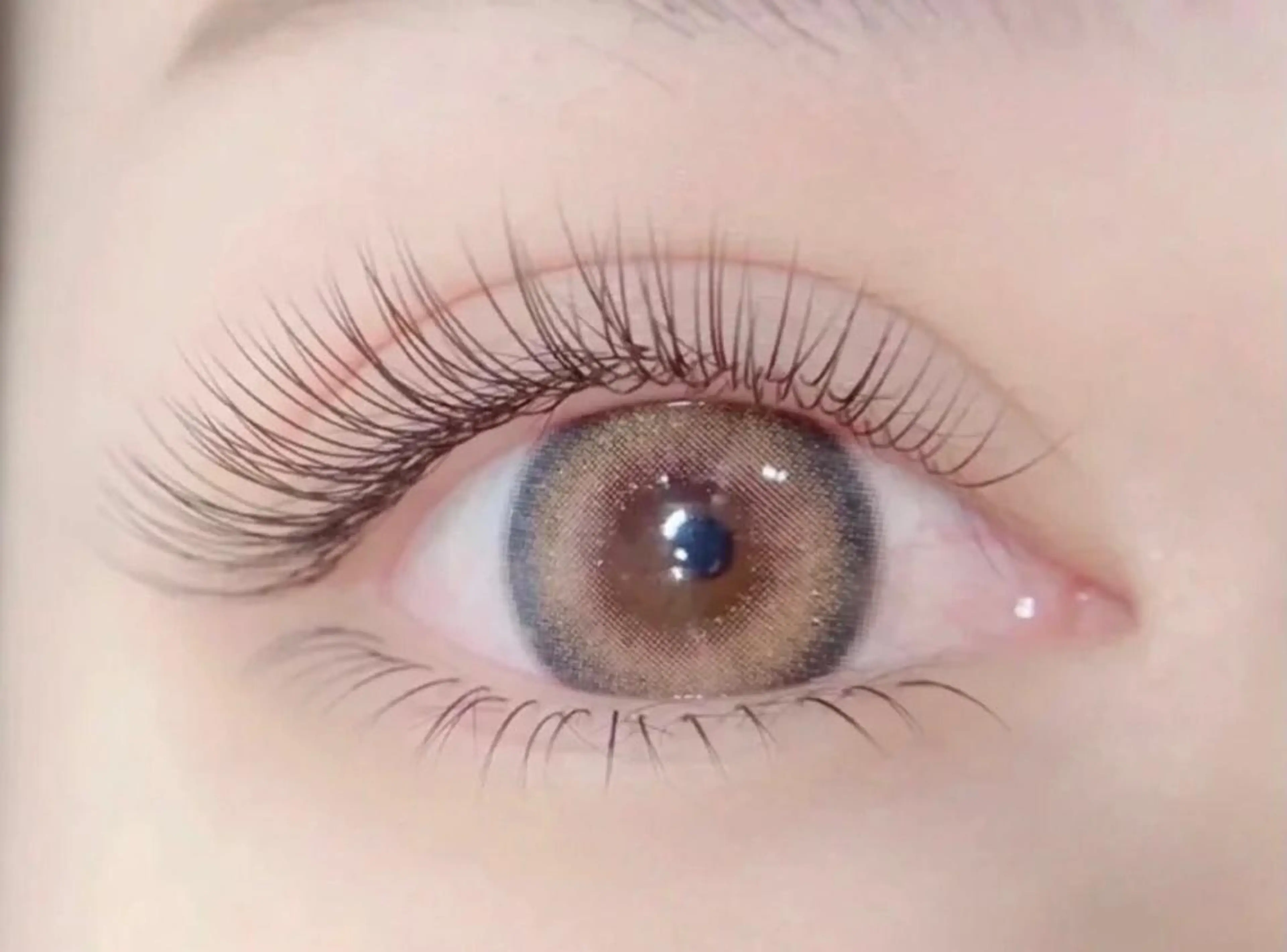 🌾minimo限定🦋超軽量高持続🌾フラットラッシュ120本、再来5980円。140本5980円、再来6980円の写真