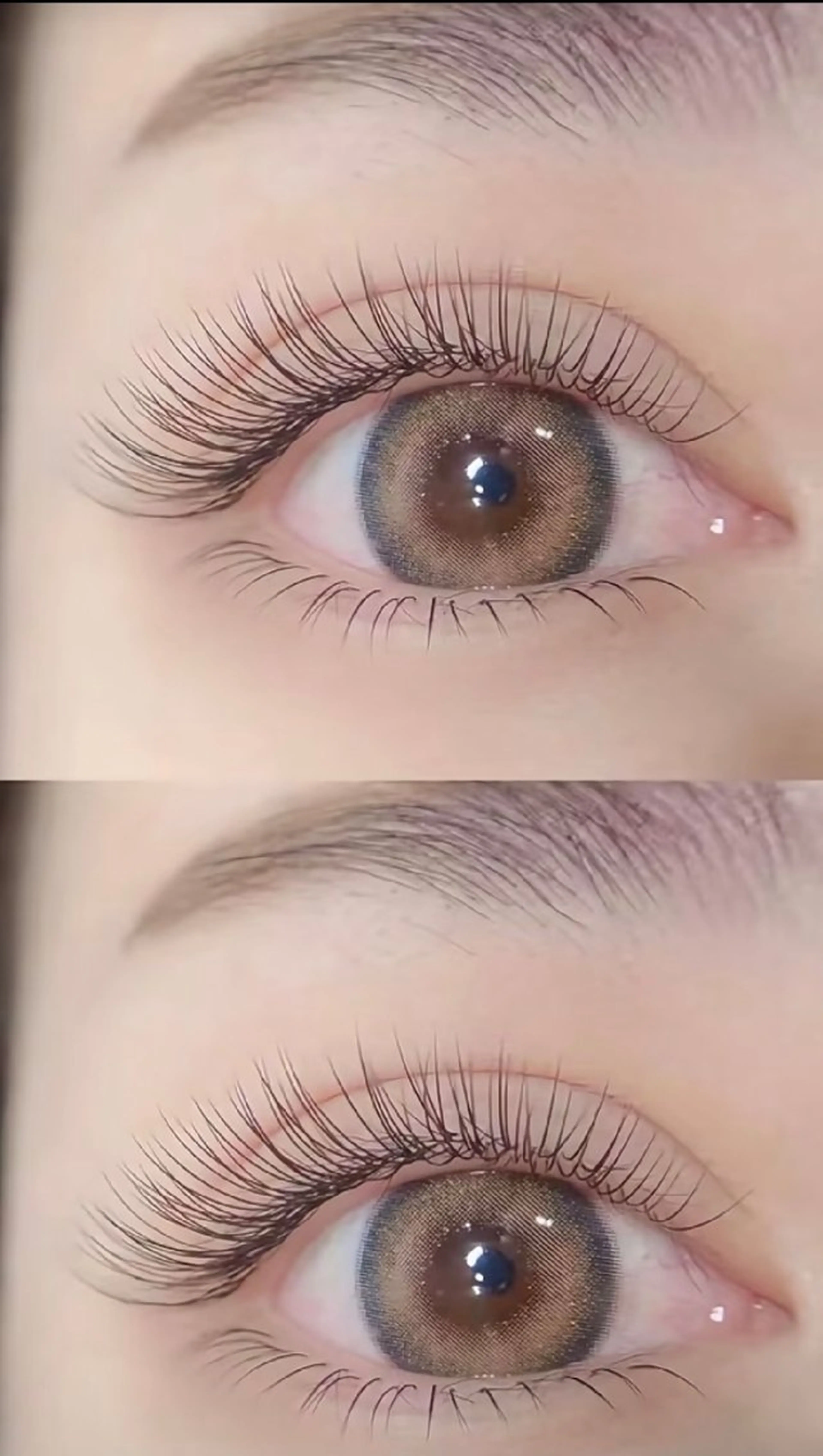 【モデル価額】LEDフラットラッシュ100本+下まつげ30本の写真