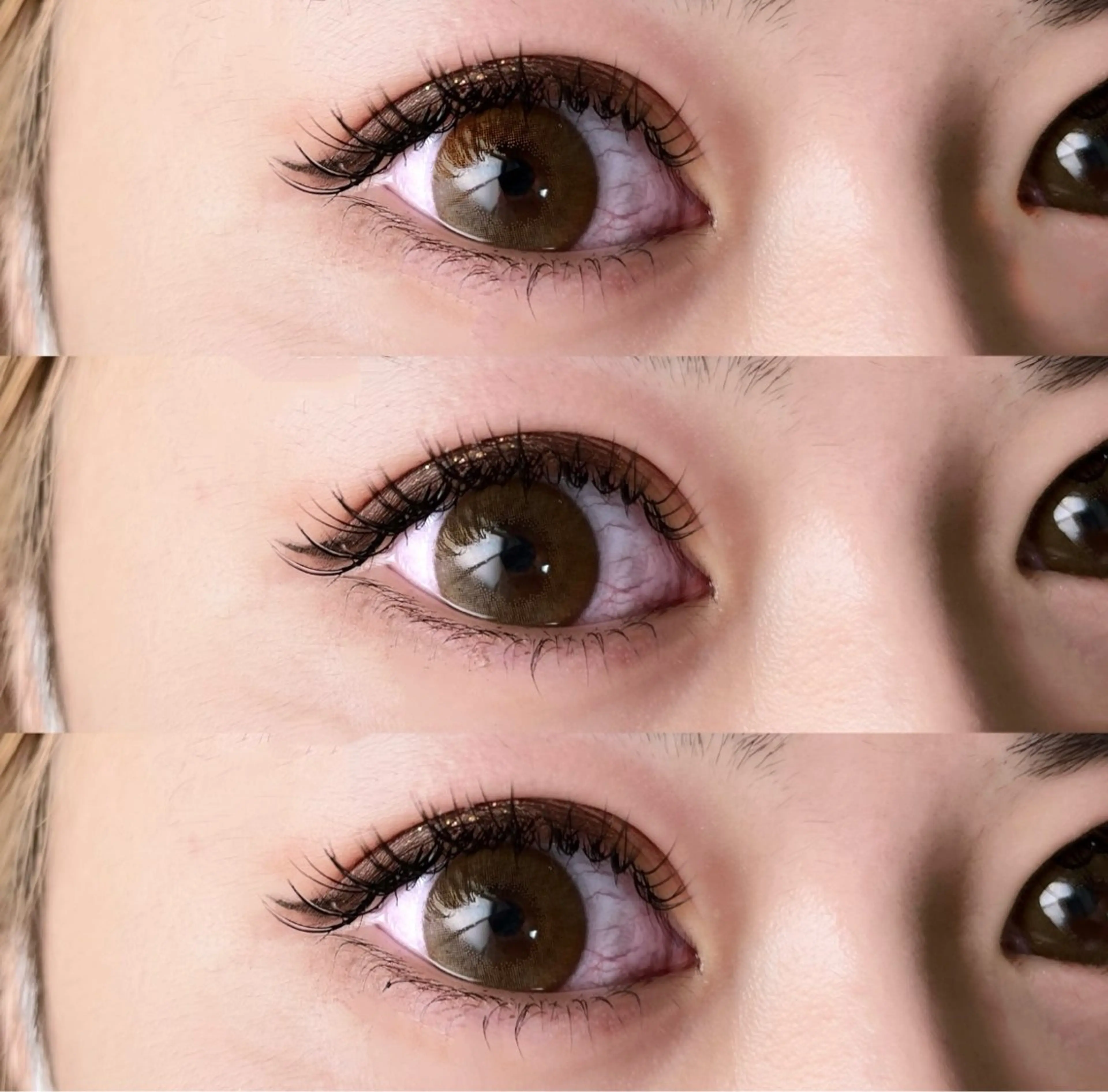 🐝マツエク【140まで付け放題】🐝オフ&コーティング付き👾の写真