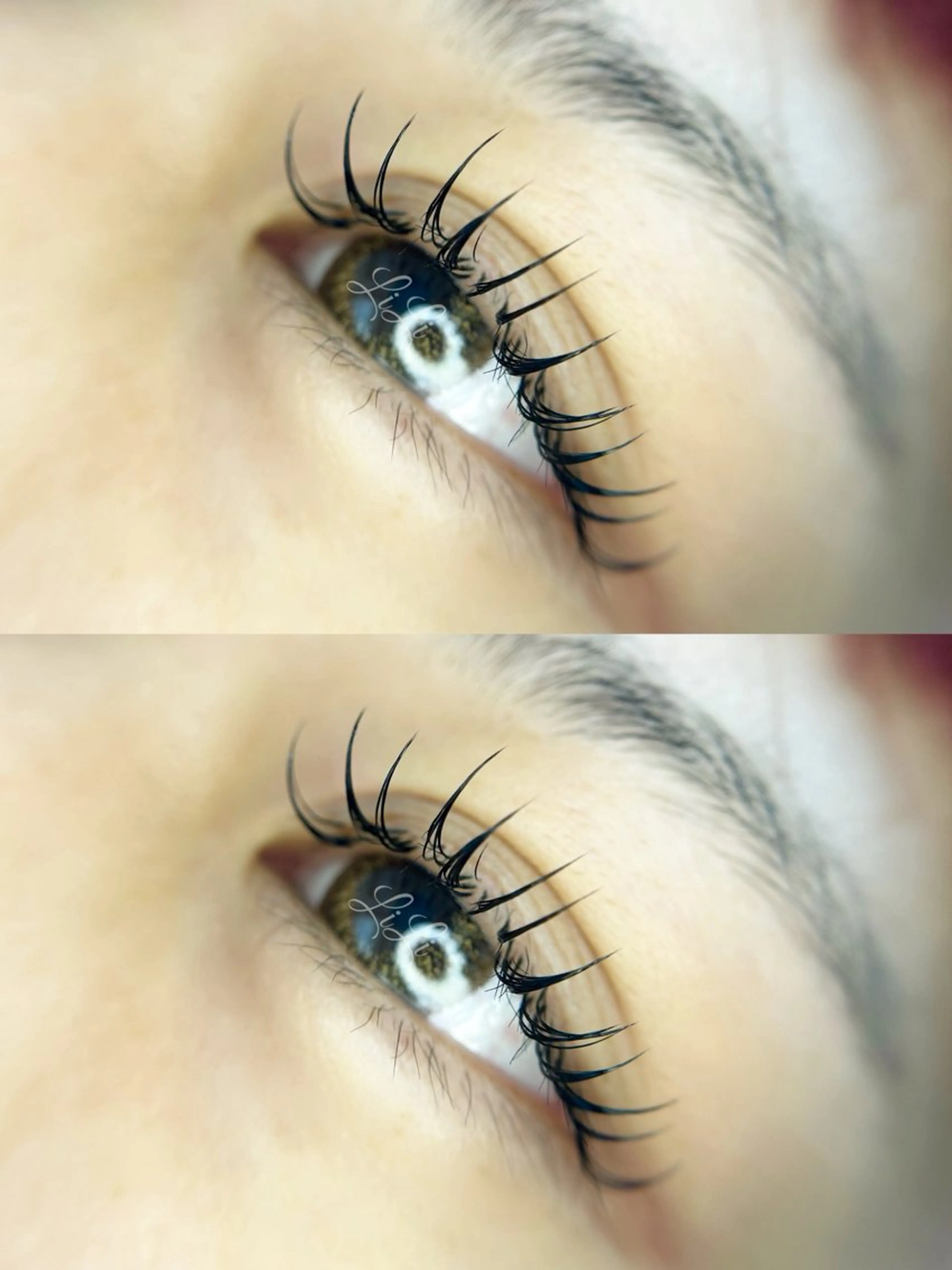 マツエク・マツパ キュート Dカール まつげエクステLiLi所属・まつげエクステ LiLiのマツエク・マツパデザイン