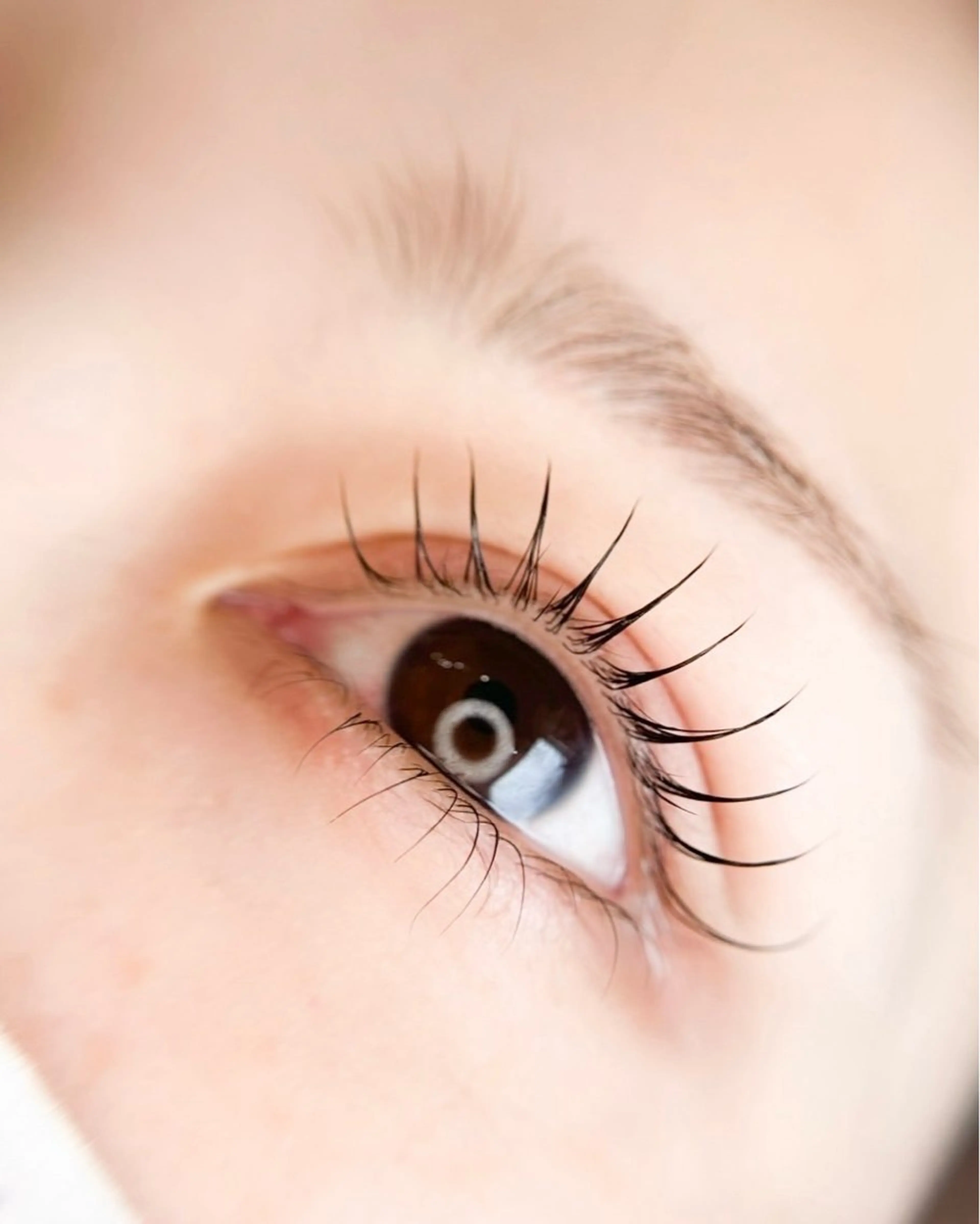 🦋パリジェンヌラッシュリフト🦋の写真