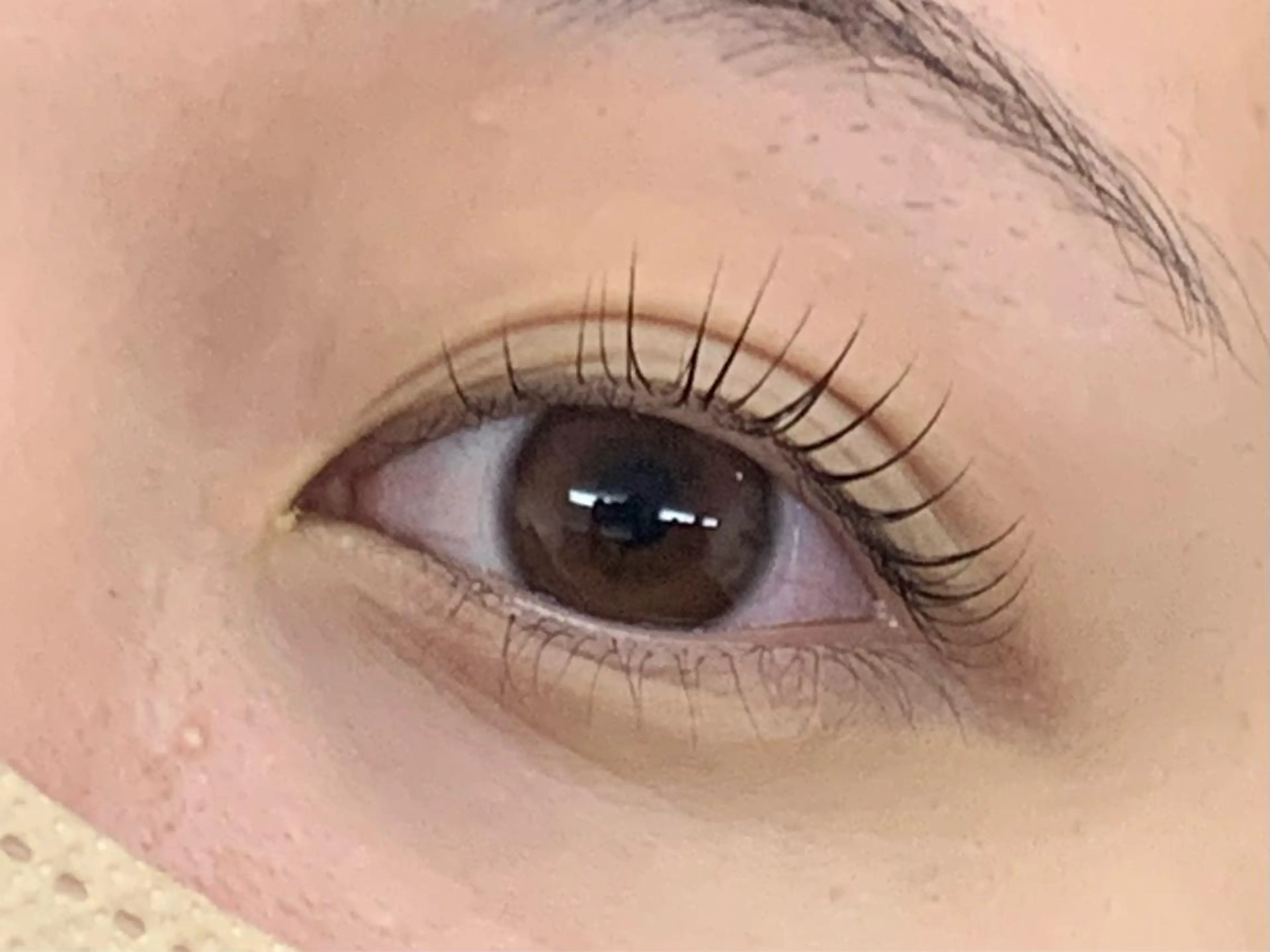 【当日予約限定】ラッシュリフト、ラッシュカール＊コーティング付き✨の写真