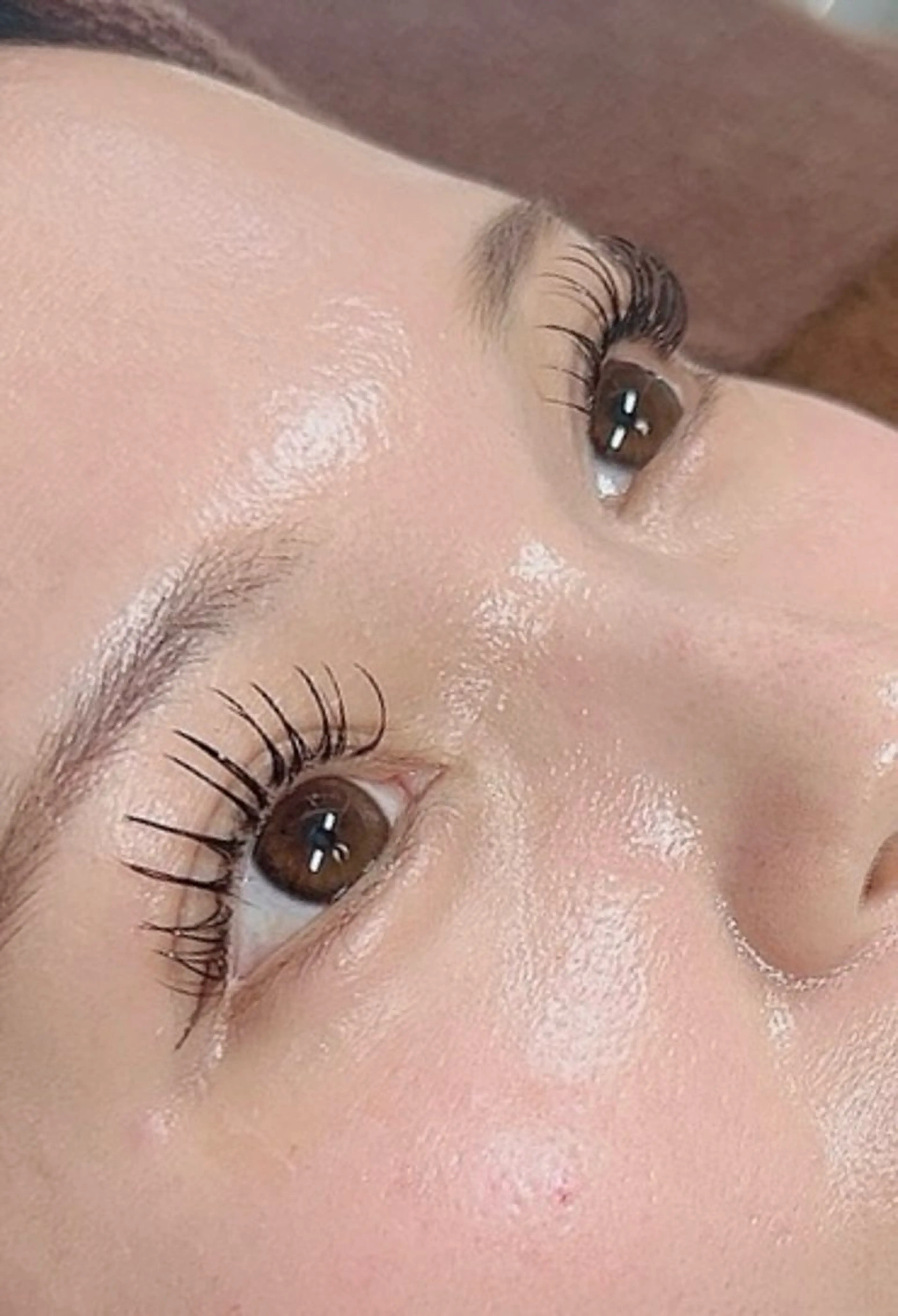 1ヶ月間150本まで付け放題の写真