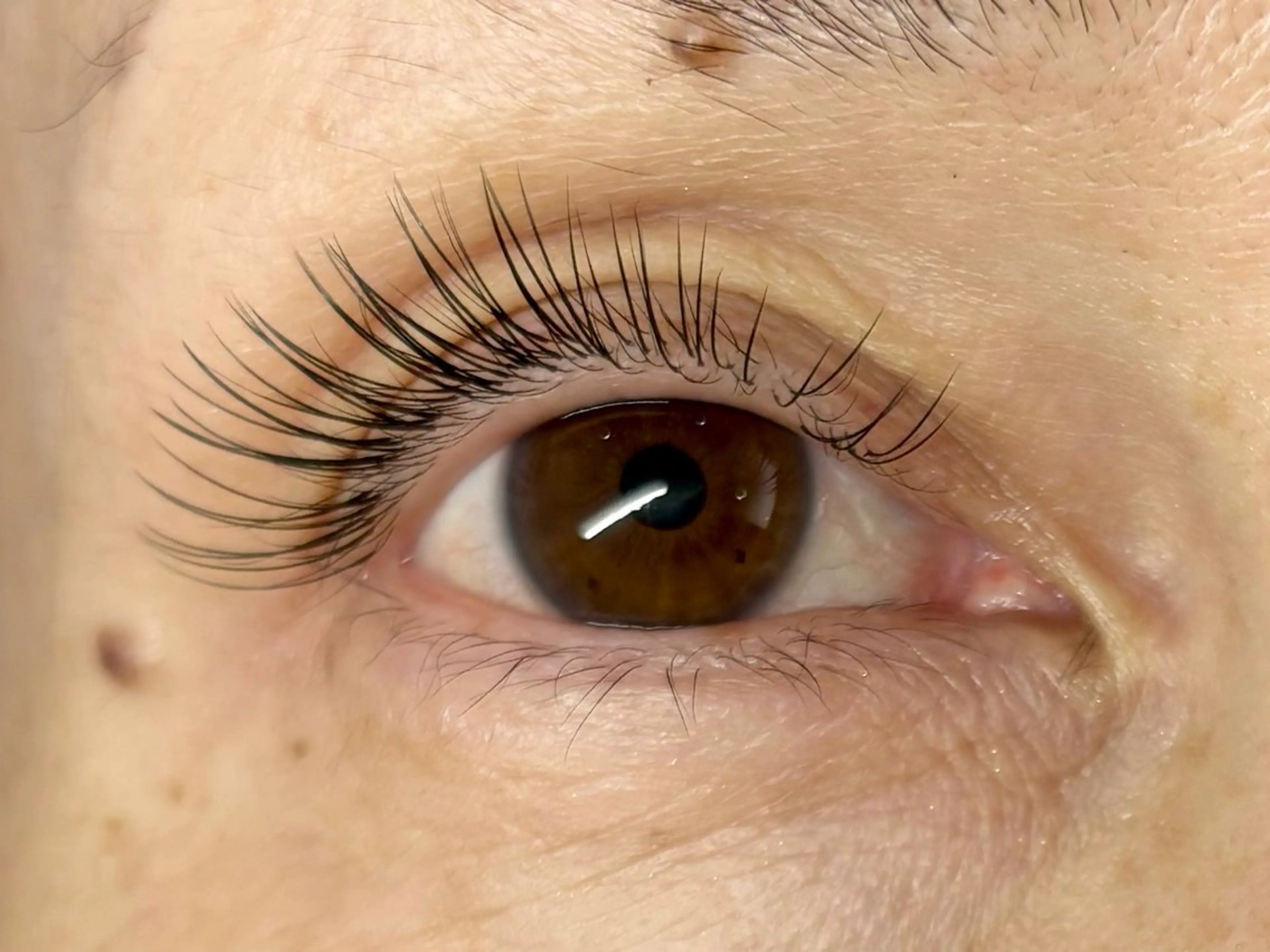 マツエク・マツパ フラットラッシュ Jカール マツエク 中村彩香 (エフドゥ)のマツエク・マツパデザイン