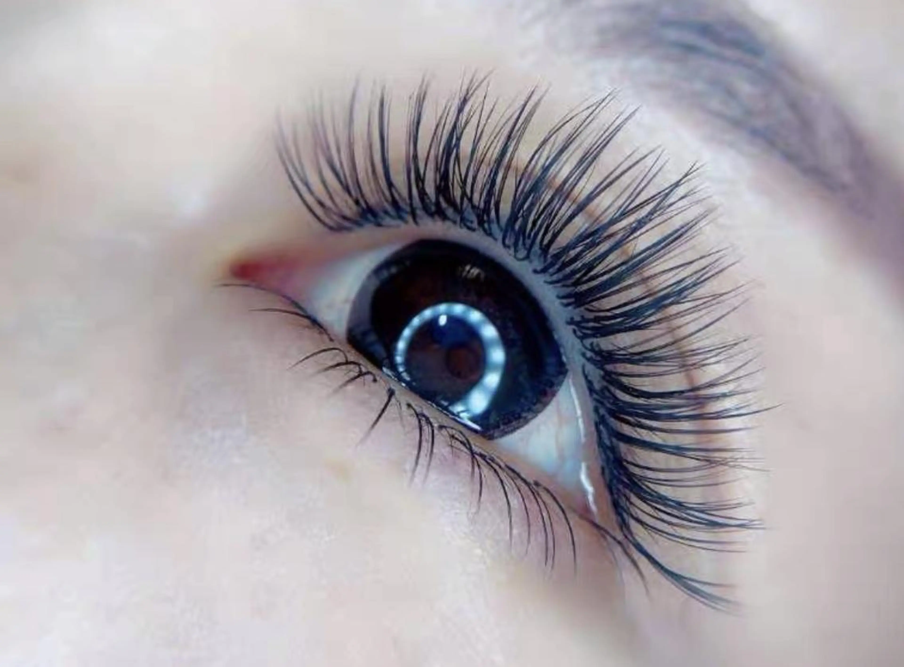 ❤️最新話題施術法バインドロック80束5500/100束6500円/110束7000円の写真