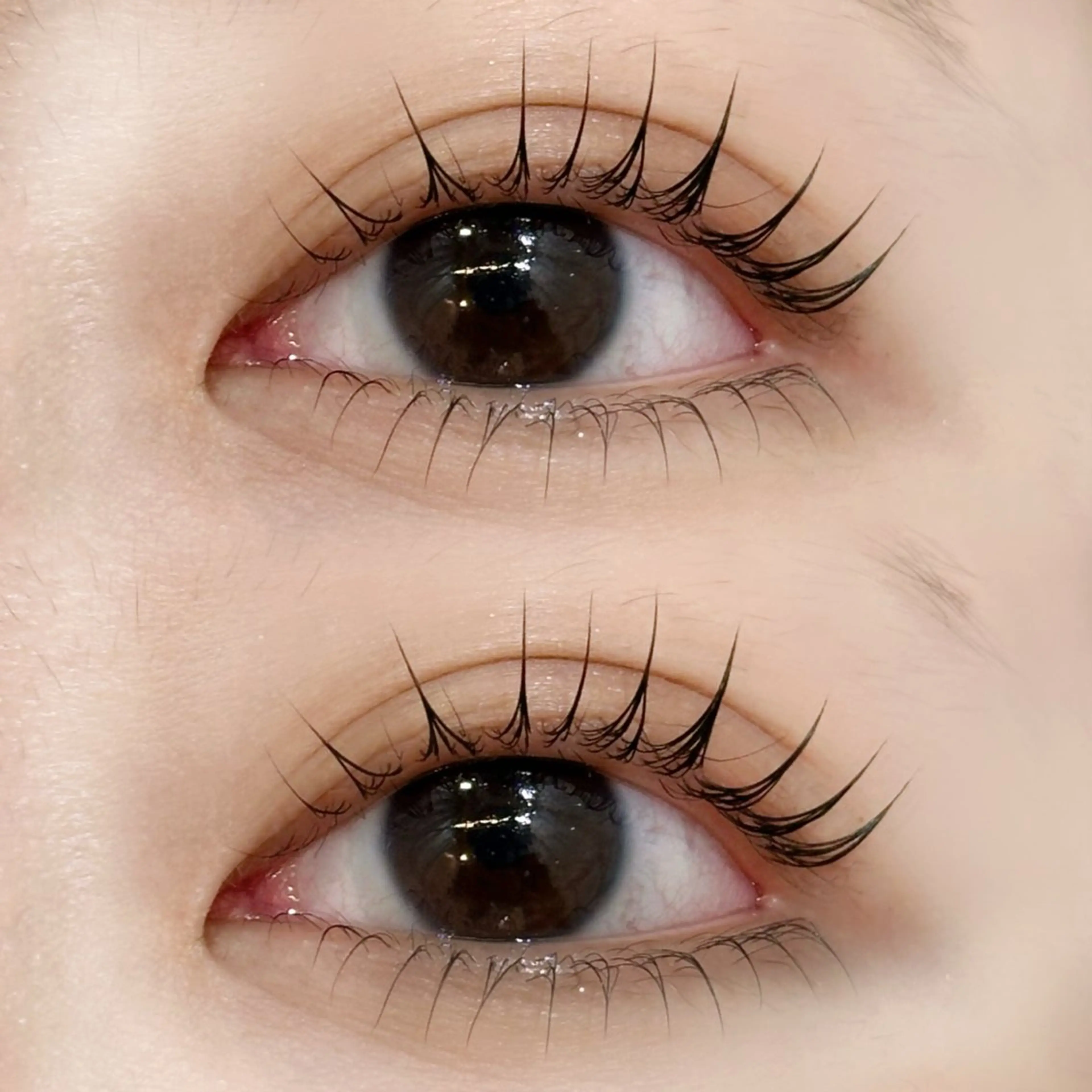 マツエク・マツパ LAYLA 🤍の眉毛・アイブロウイメージ