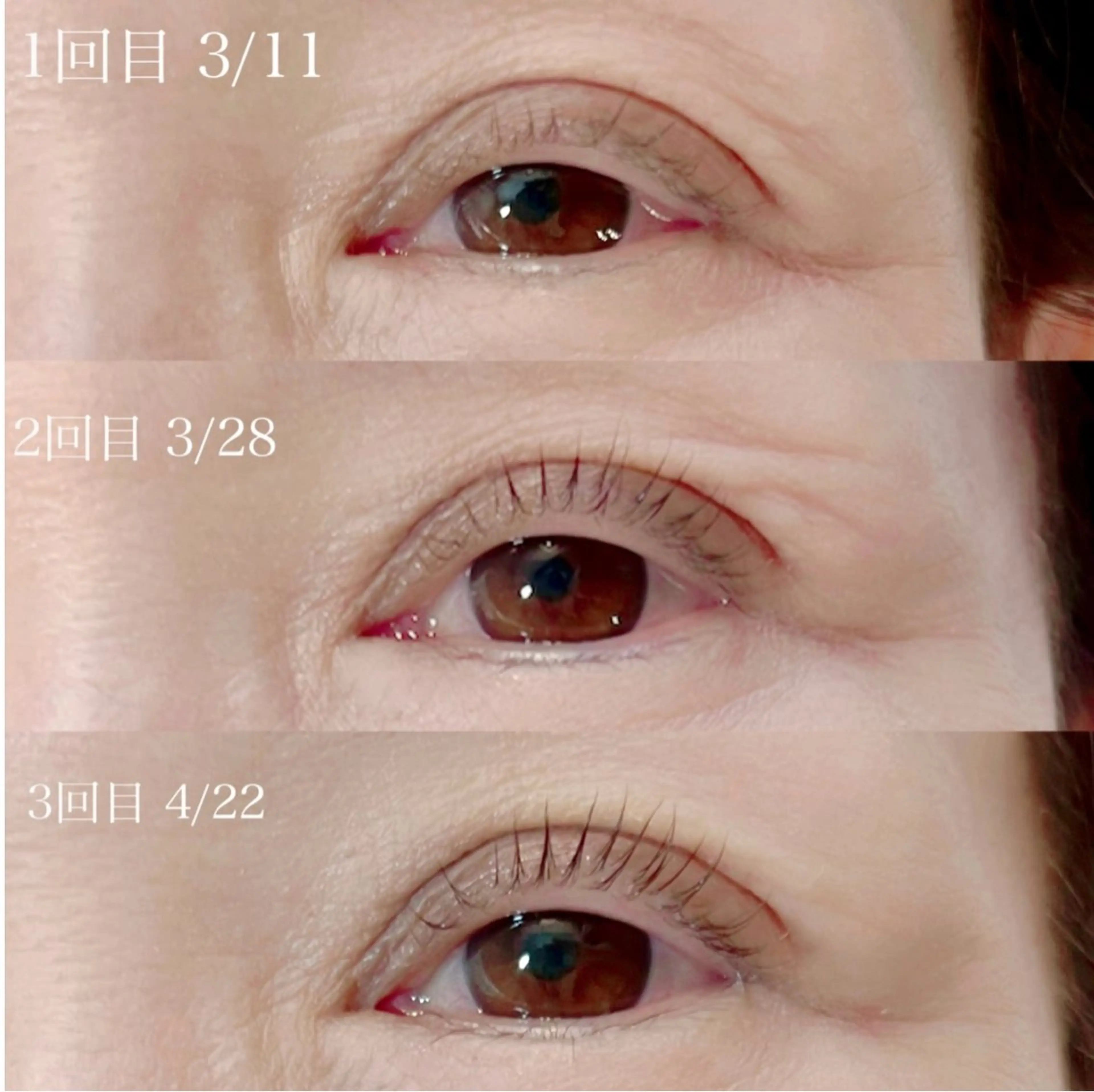 マイラミネーション【ダメージレスまつげパーマ】の写真