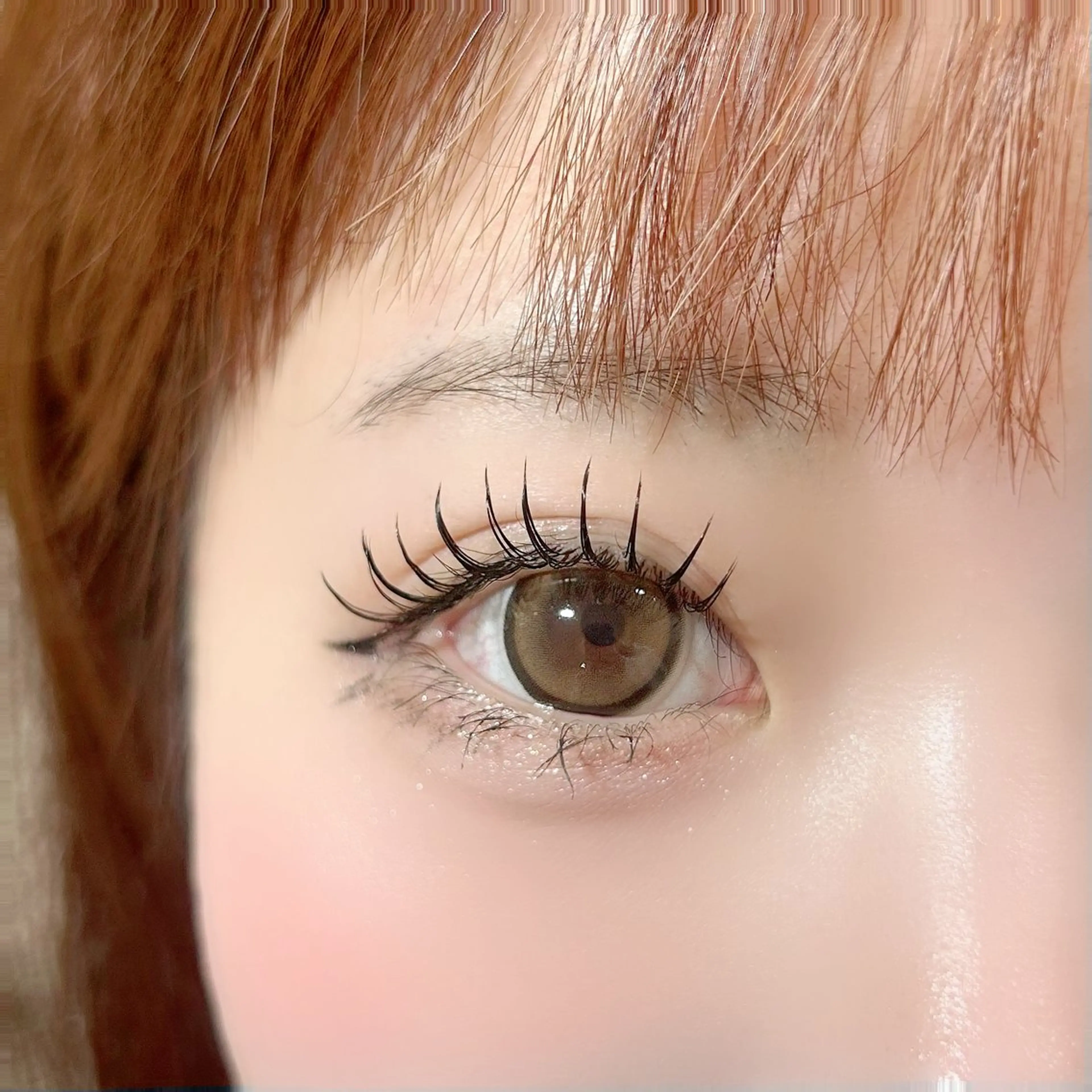 【まつエク】Wフラットラッシュorバインドロック60束の写真