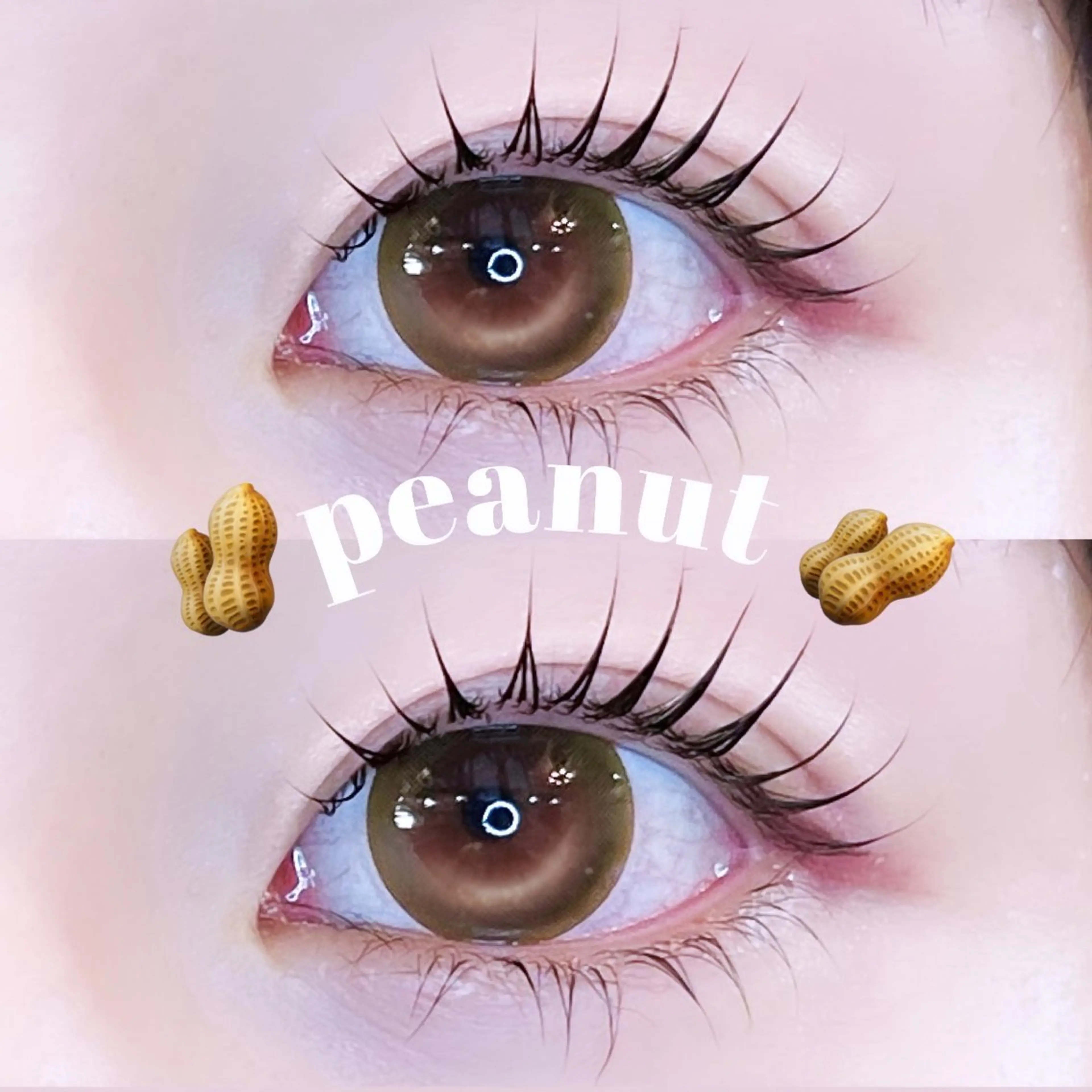 【🎀当日ご新規様限定🎀】韓国風束感パリジェンヌorラッシュリフトコーティング仕上げ付き✨の写真