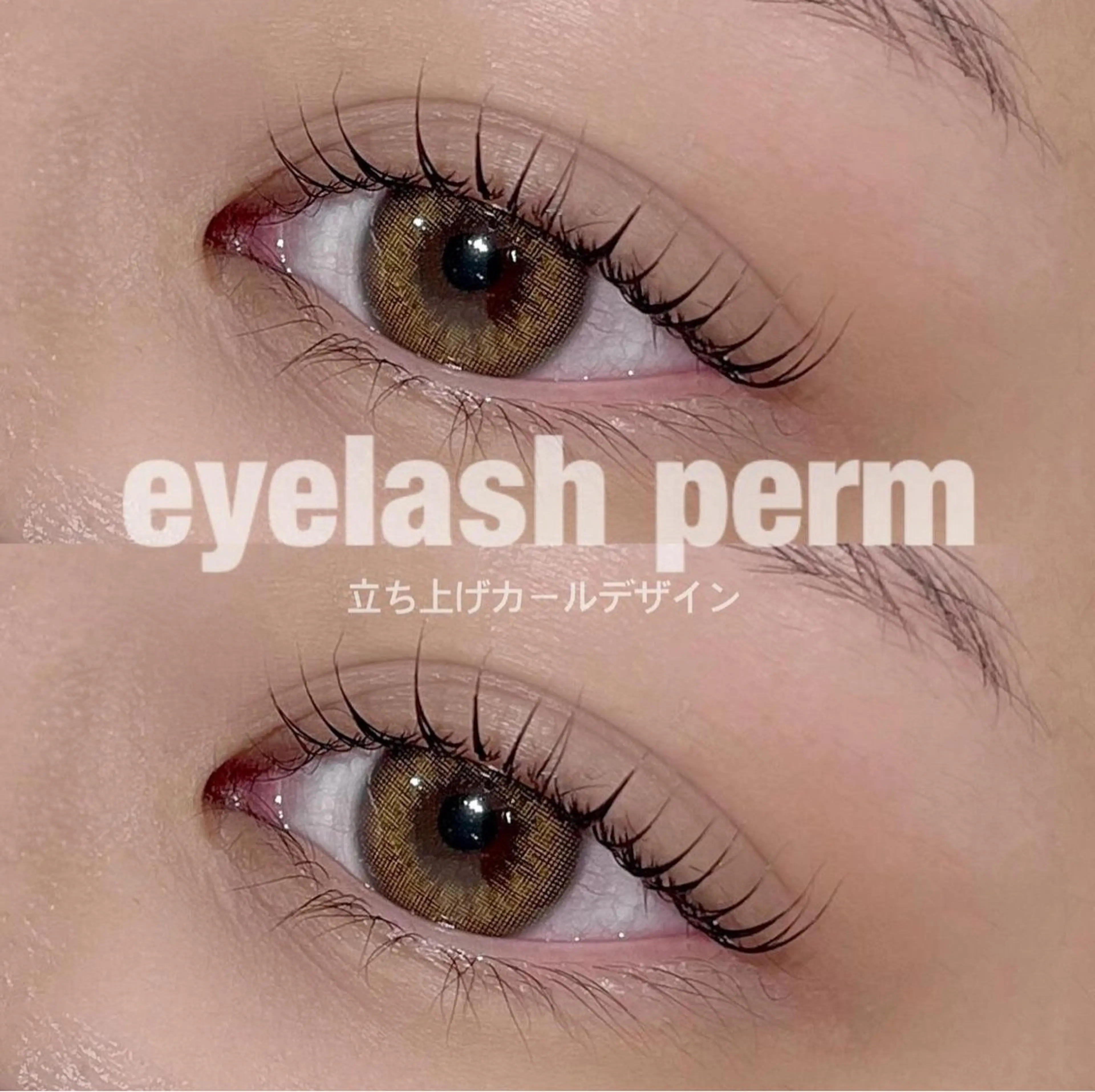 【 NEW 】まつげパーマ〈コーティング付〉￥4000＋指名料¥300 ※オフ不可※の写真