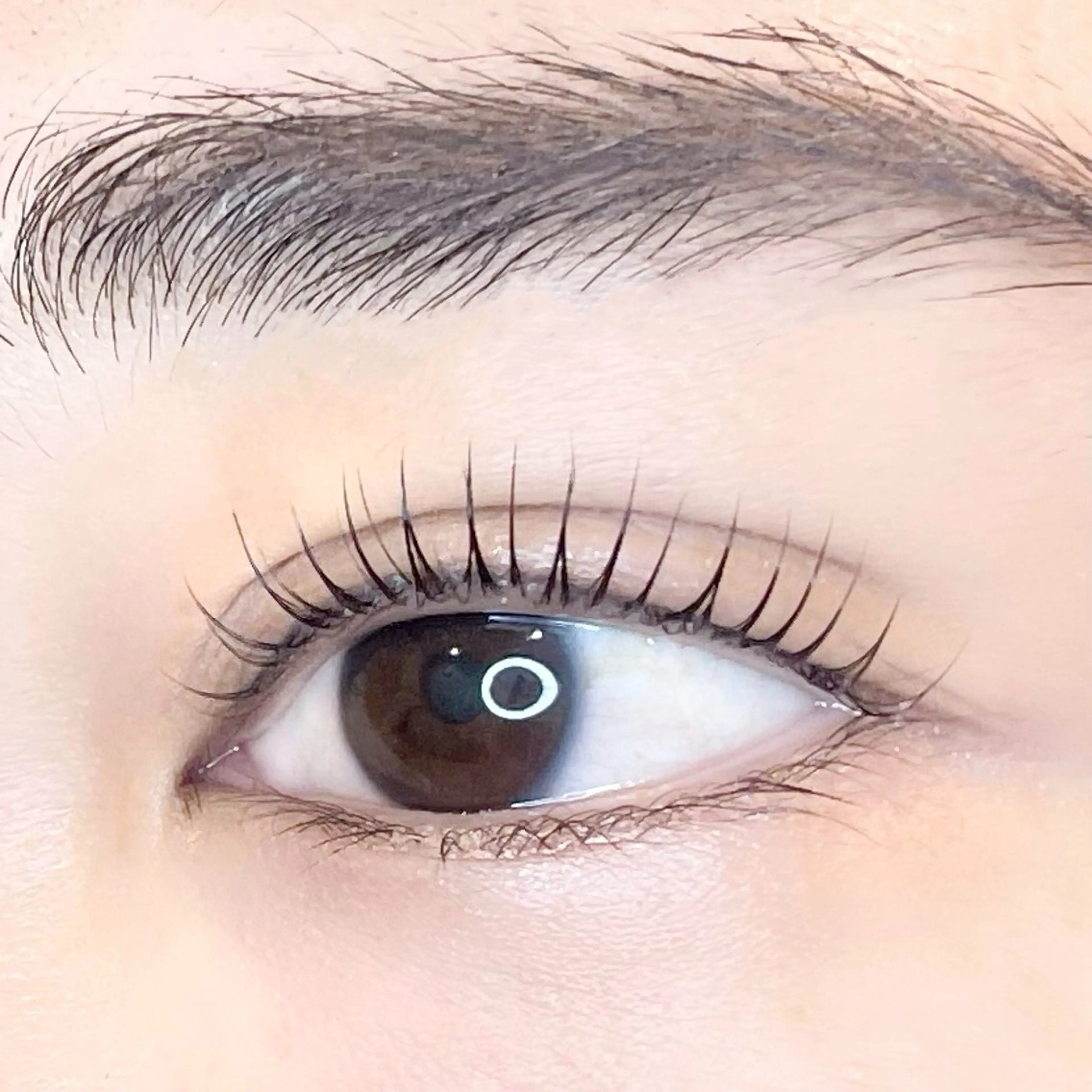 【ミニモ限定🍁】🌿濃厚トリートメント付🫧パーソナルラッシュリフト(まつげパーマ)🌿仕上げコーティング付の写真