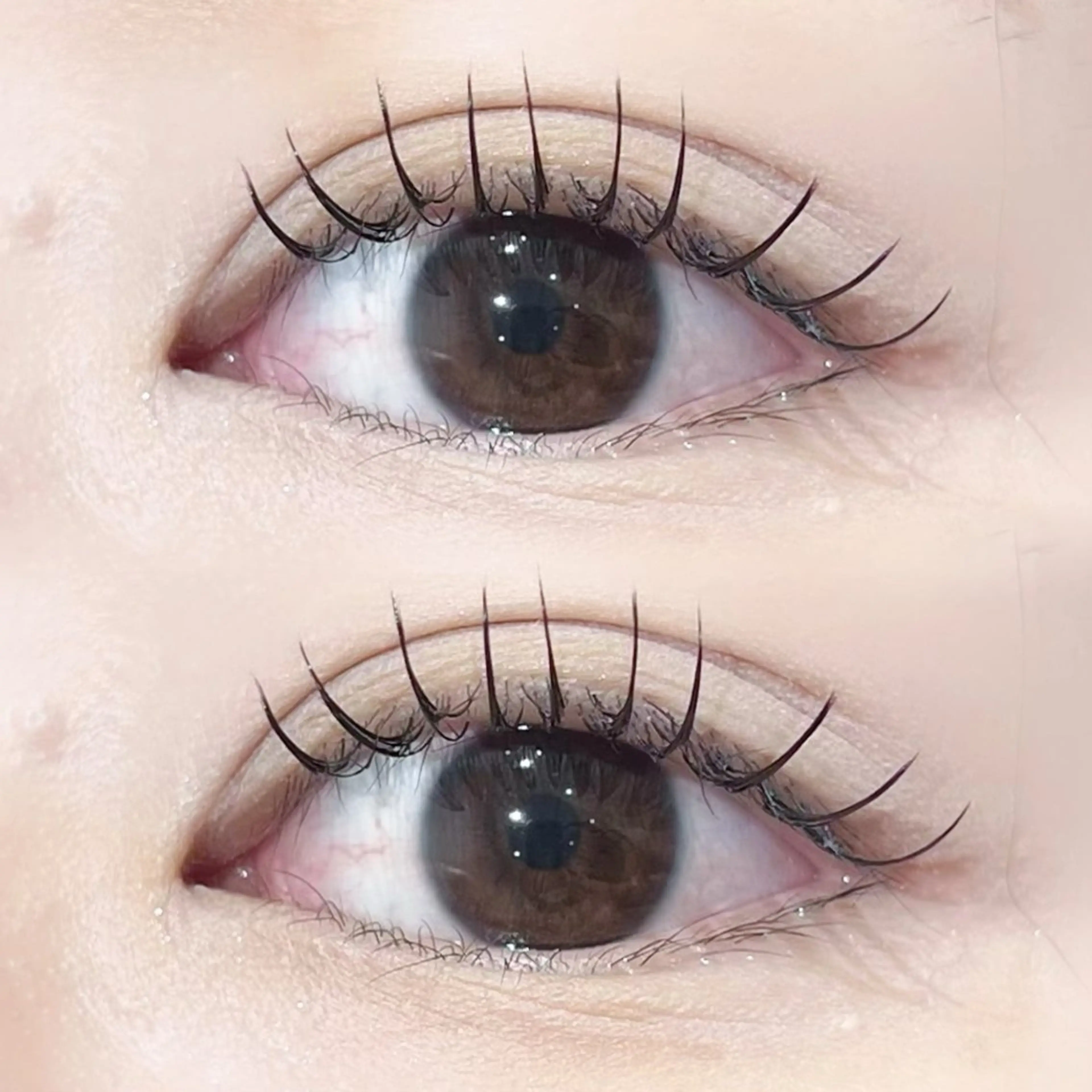 マツエク・マツパ Bカール Dカール 🤍𐙚KONOHO 束感まつ毛𐙚🤍のマツエク・マツパデザイン