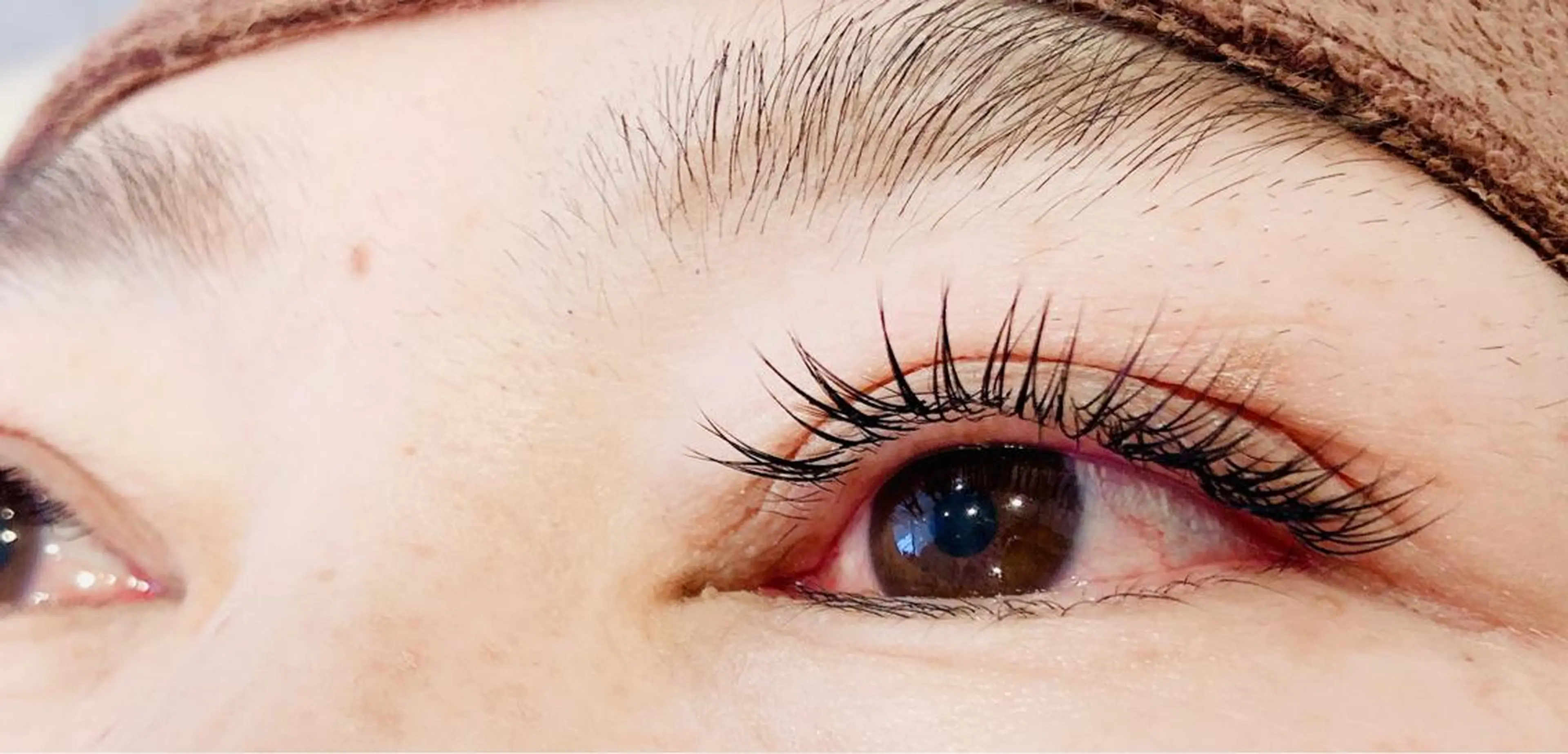 ♡ミニモ特別価格♡フラットラッシュ100本の写真