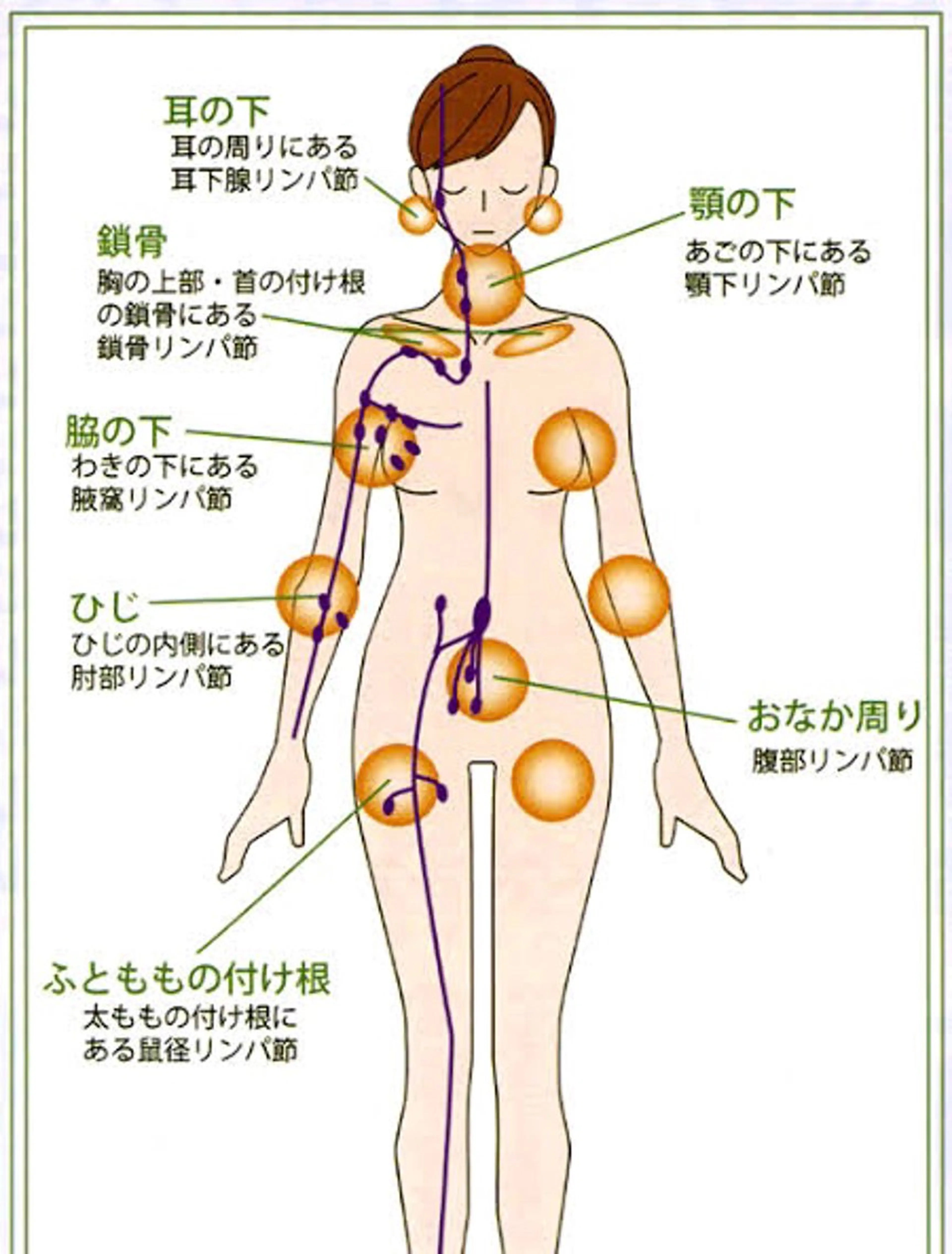香りの家ローズマリー 🌿アロマリンパのエステ・リラクイメージ