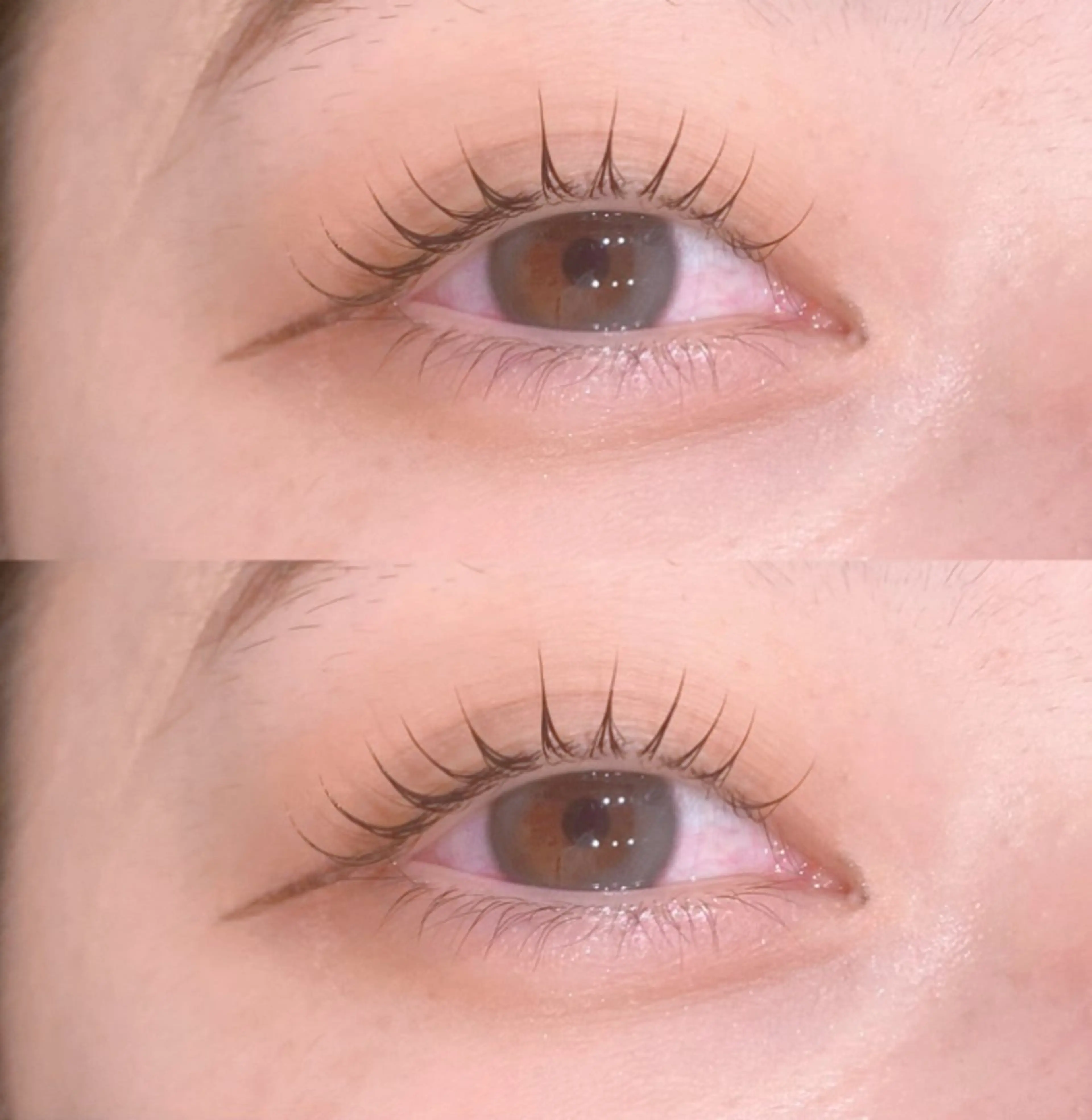 【12月限定🎄】似合わせまつげパーマ¥4,400の写真