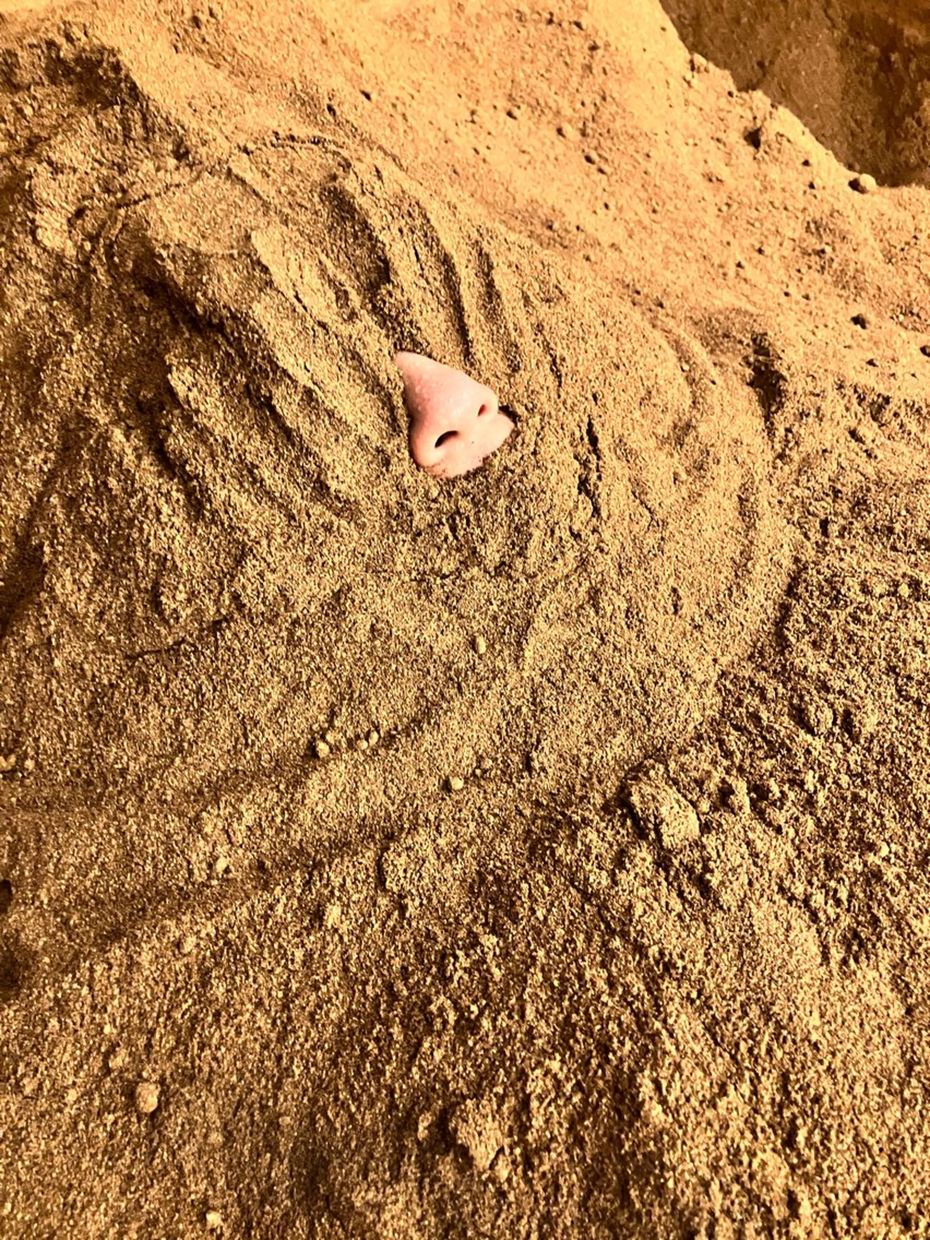 その他 酵そや 石澤のエステ・リラクイメージ
