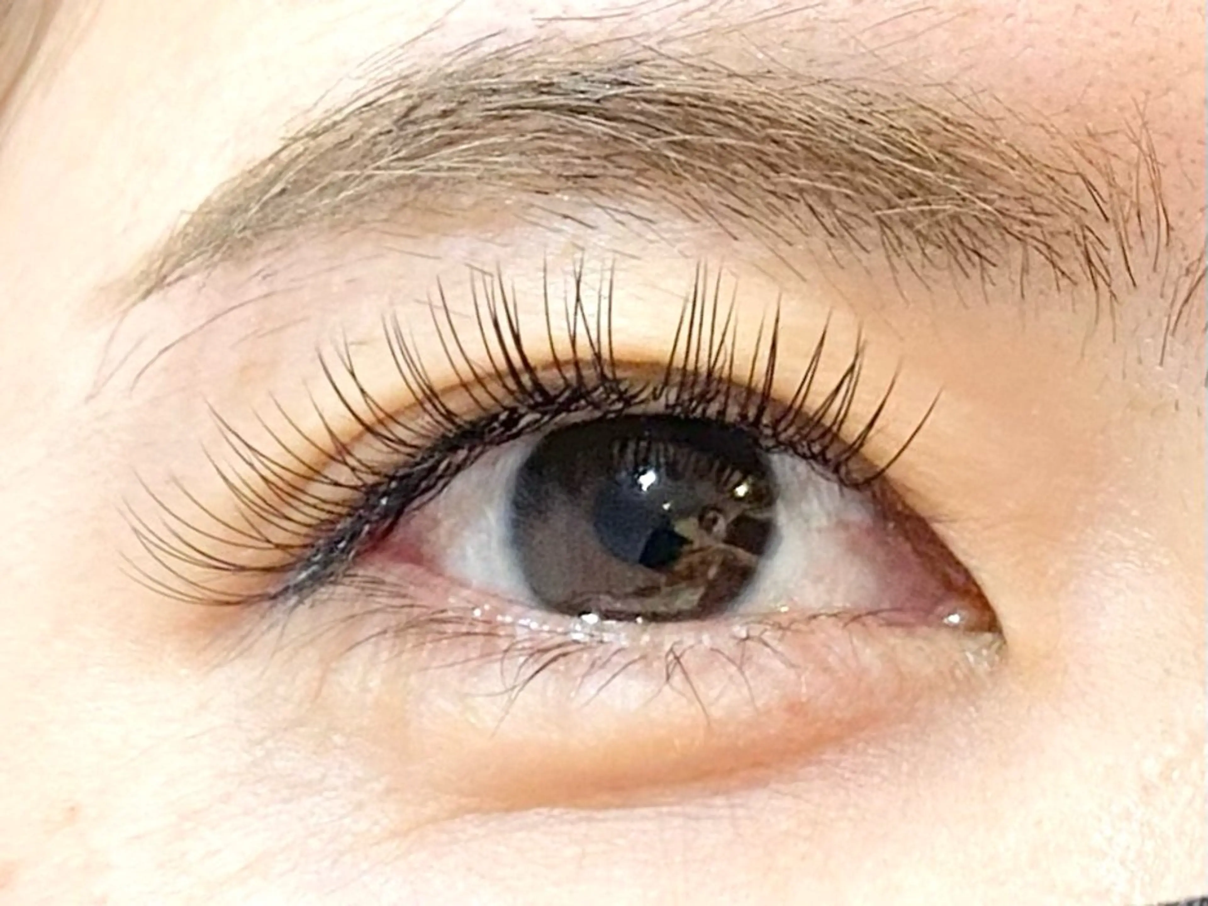 プラチナセーブル80本の写真