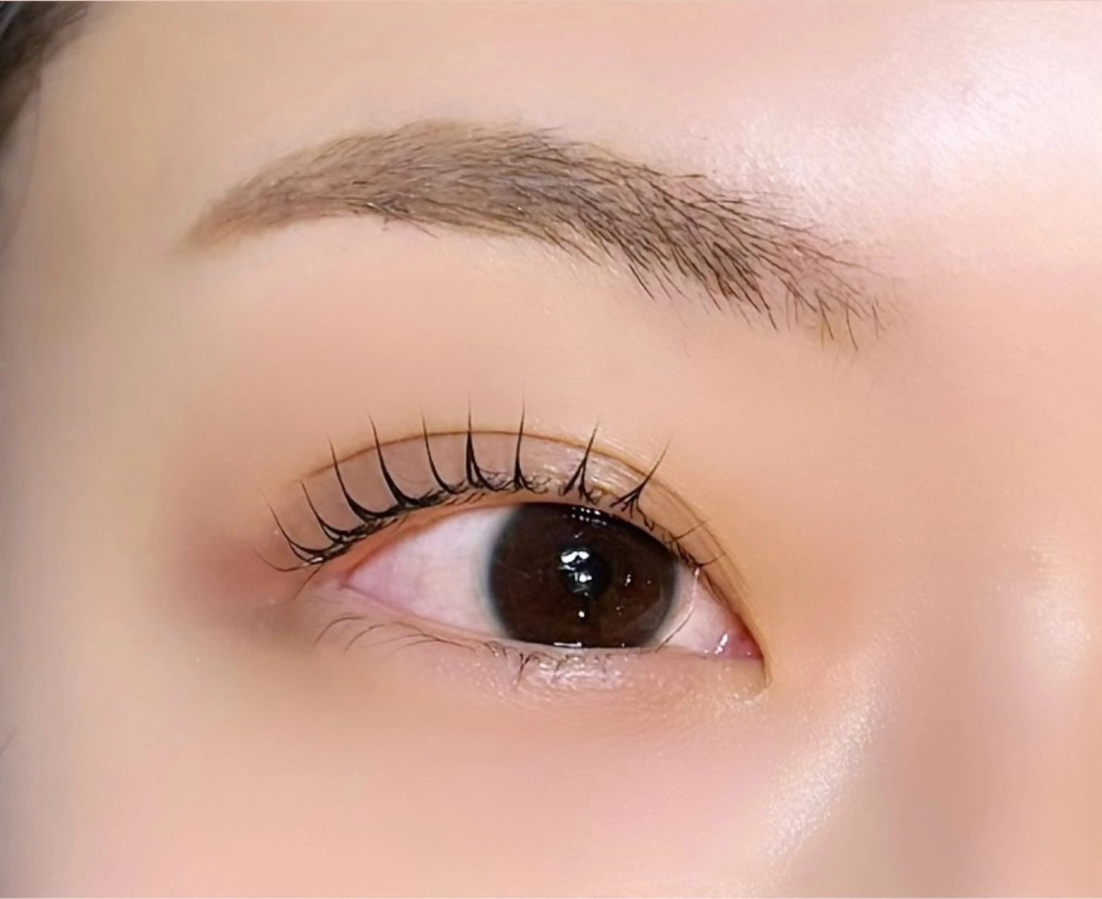 マツエク・マツパ マツパ lash & brow PORTE269所属・PORTE269🦋 Maika.のマツエク・マツパデザイン