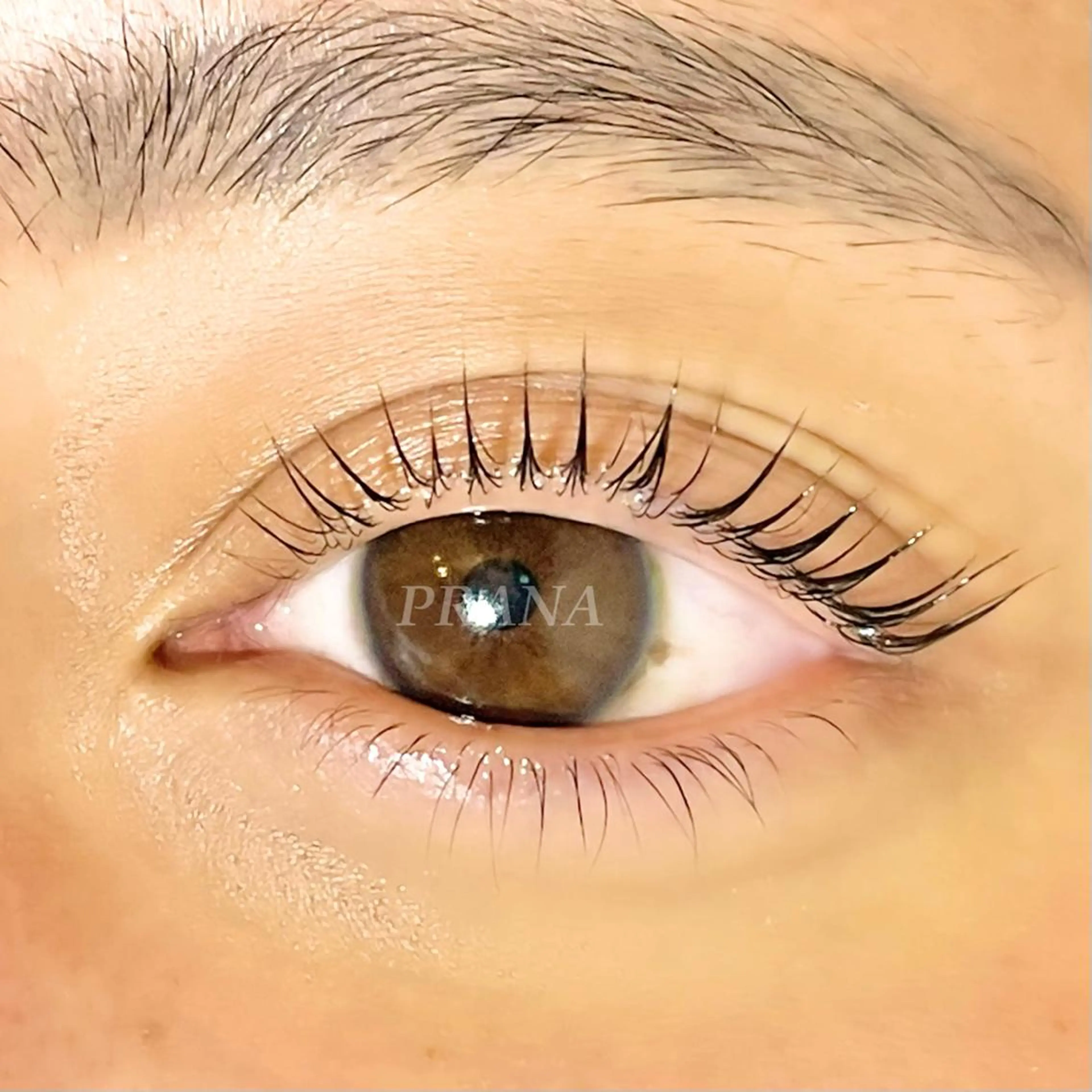 マツエク・マツパ PRANA所属・PRANA 錦糸町 徒歩3分のその他イメージ