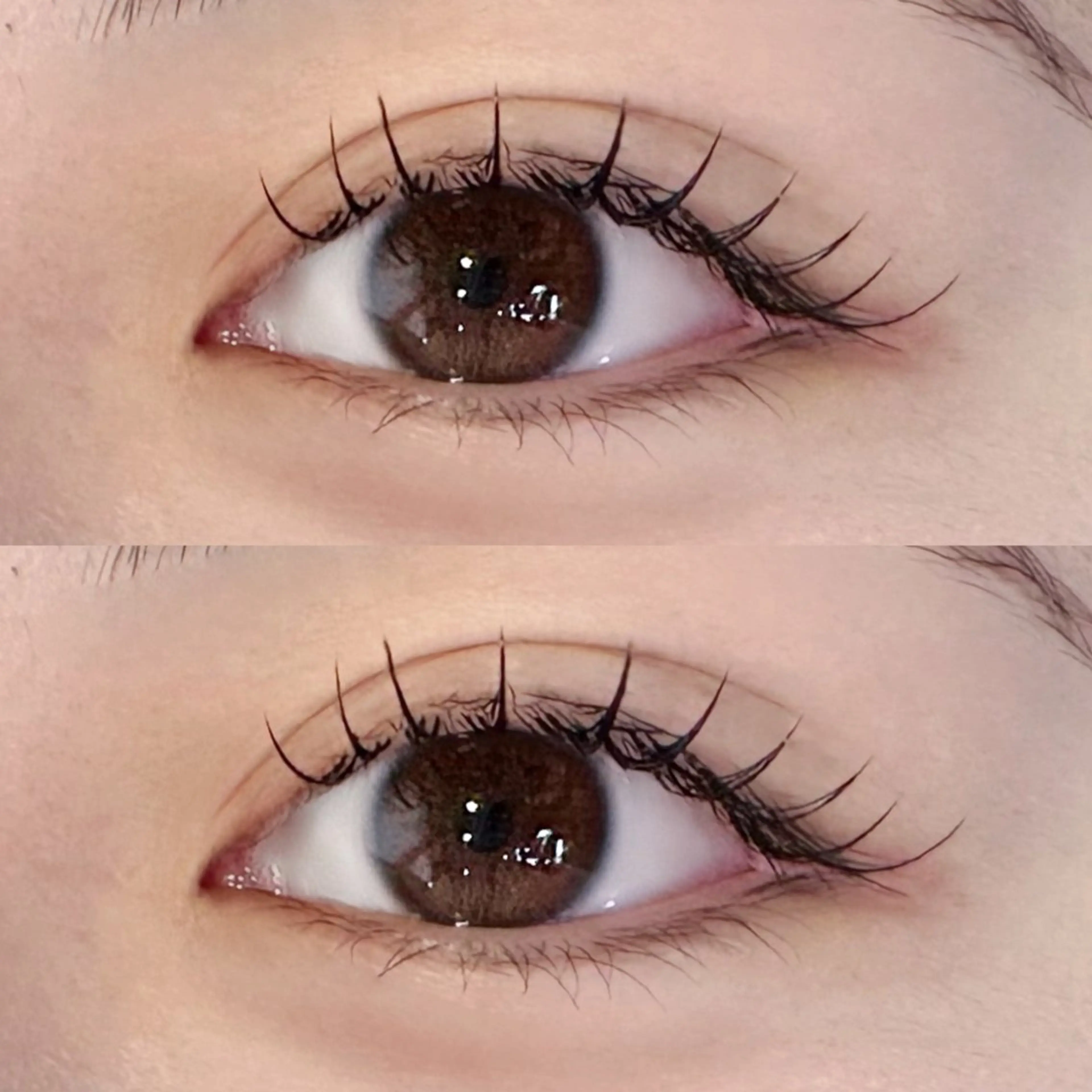 Wフラット50束🩶の写真